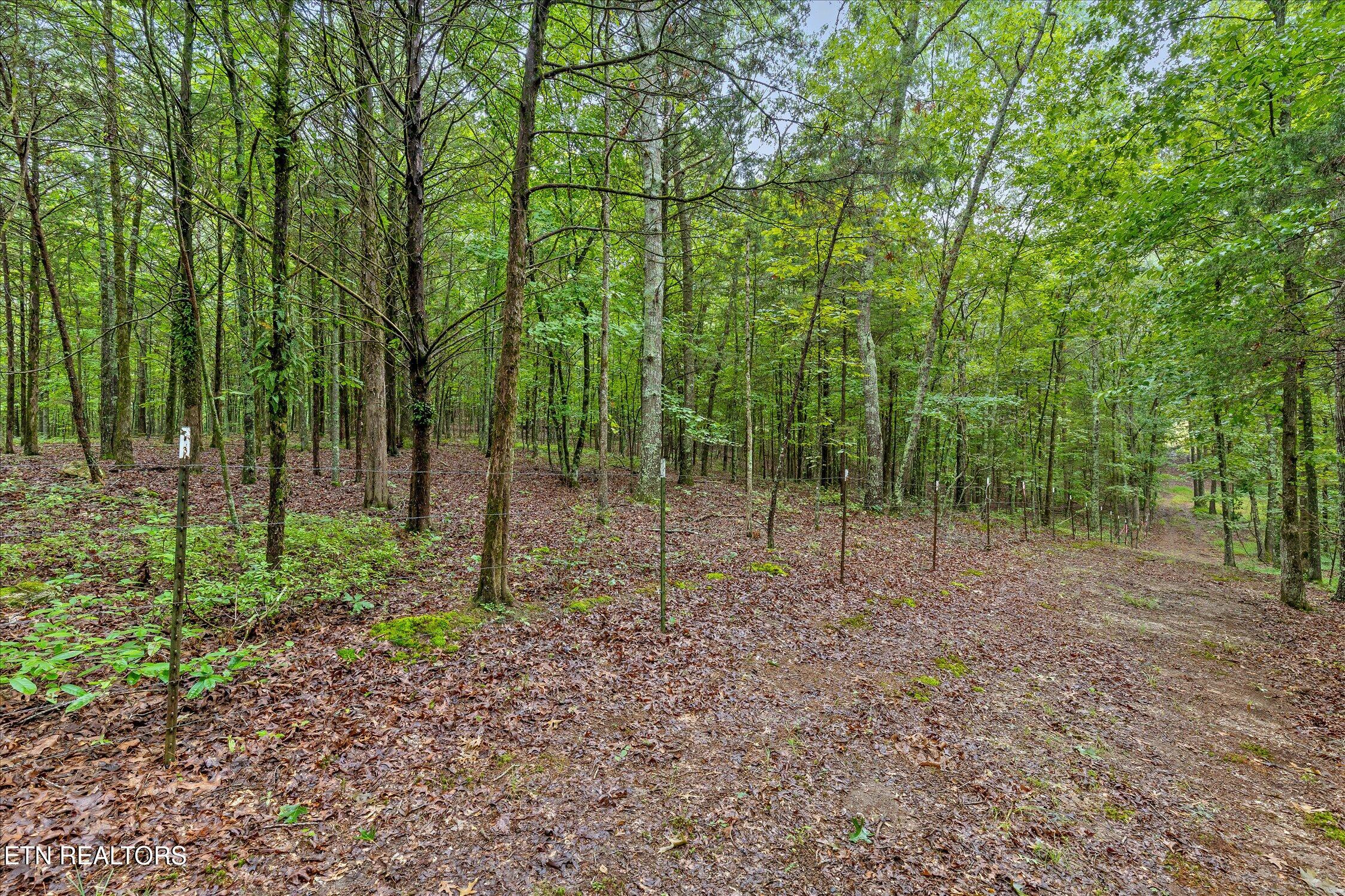 12706 Cranfield Rd