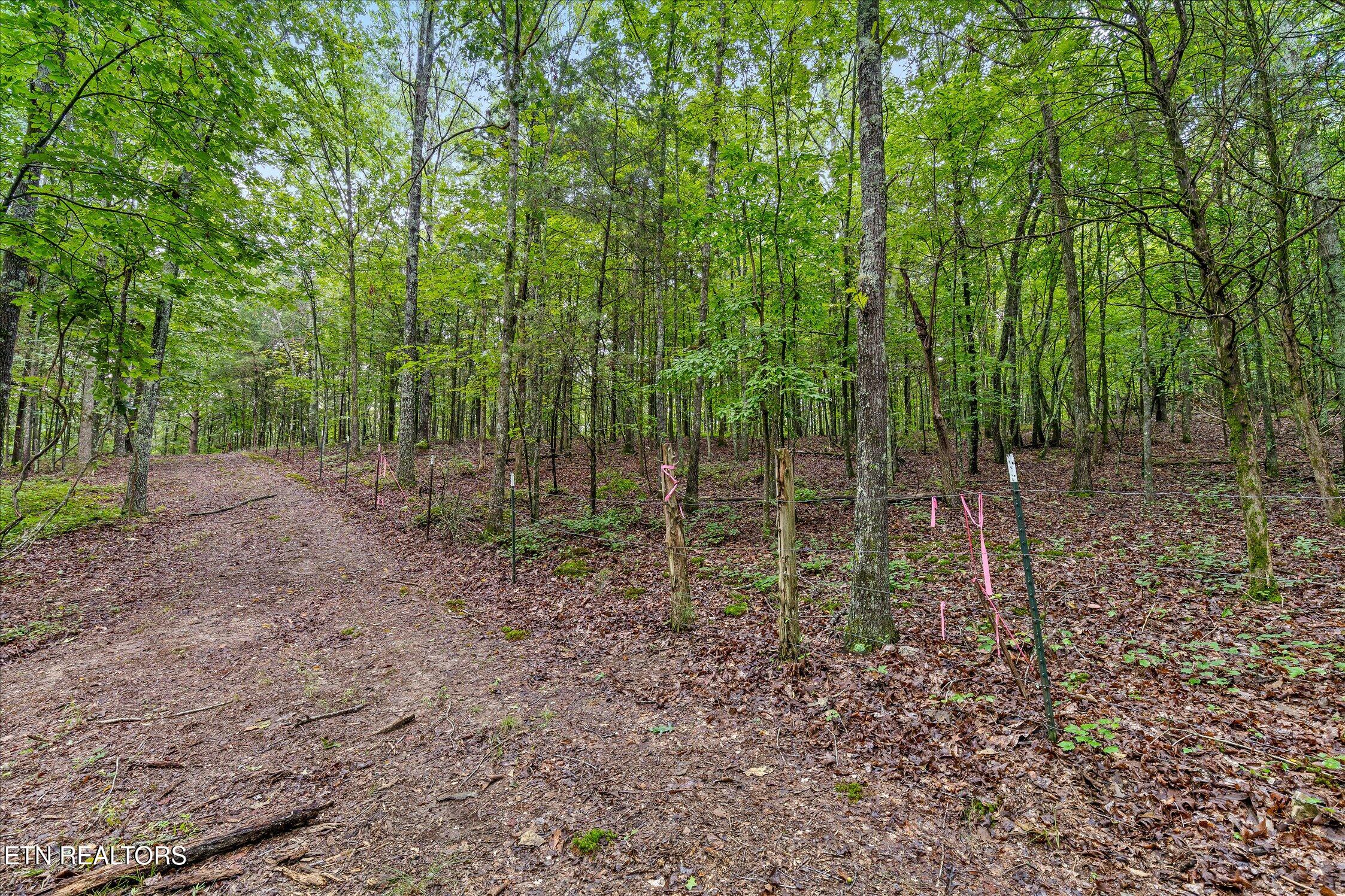12706 Cranfield Rd