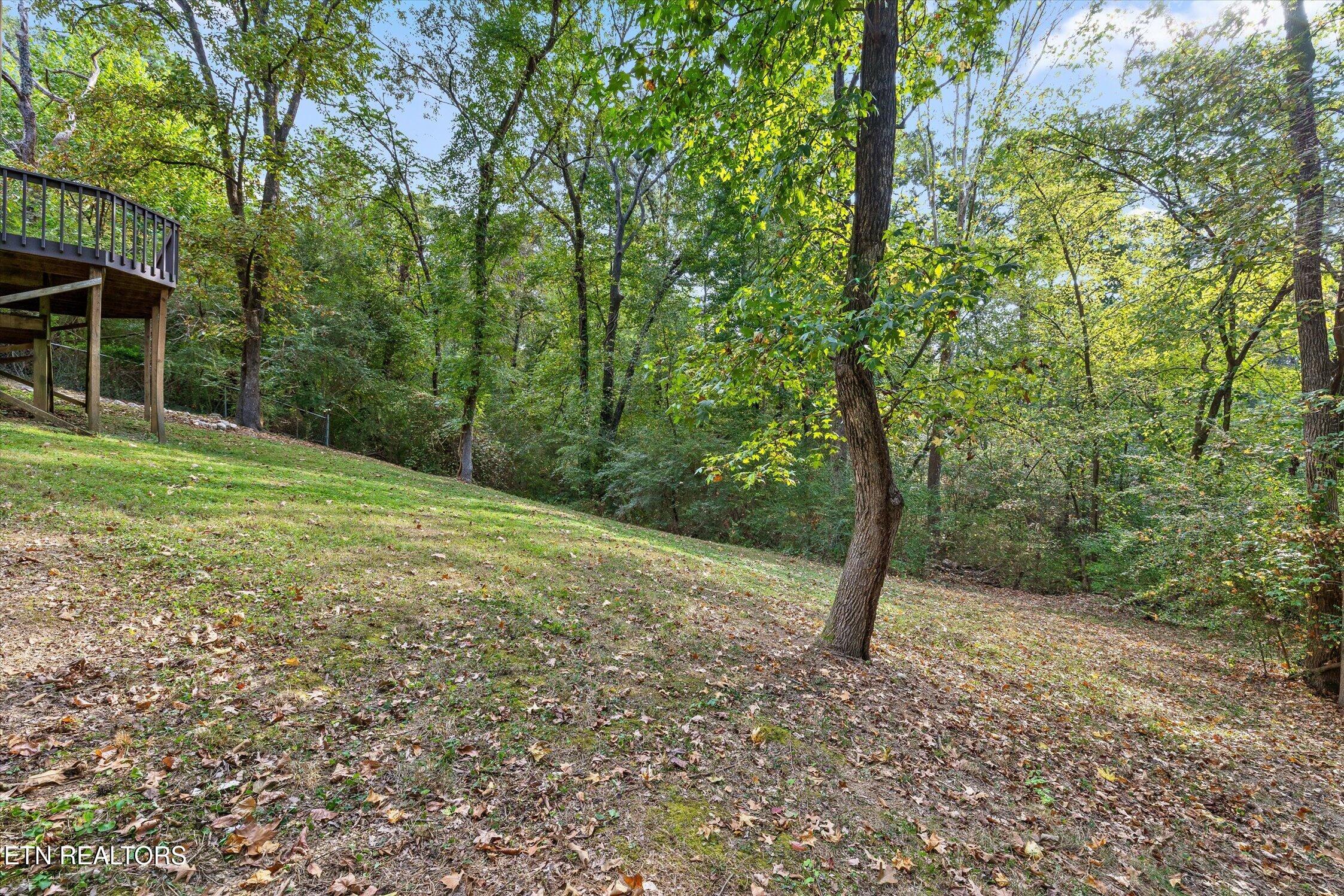 6221 Celtic Drive