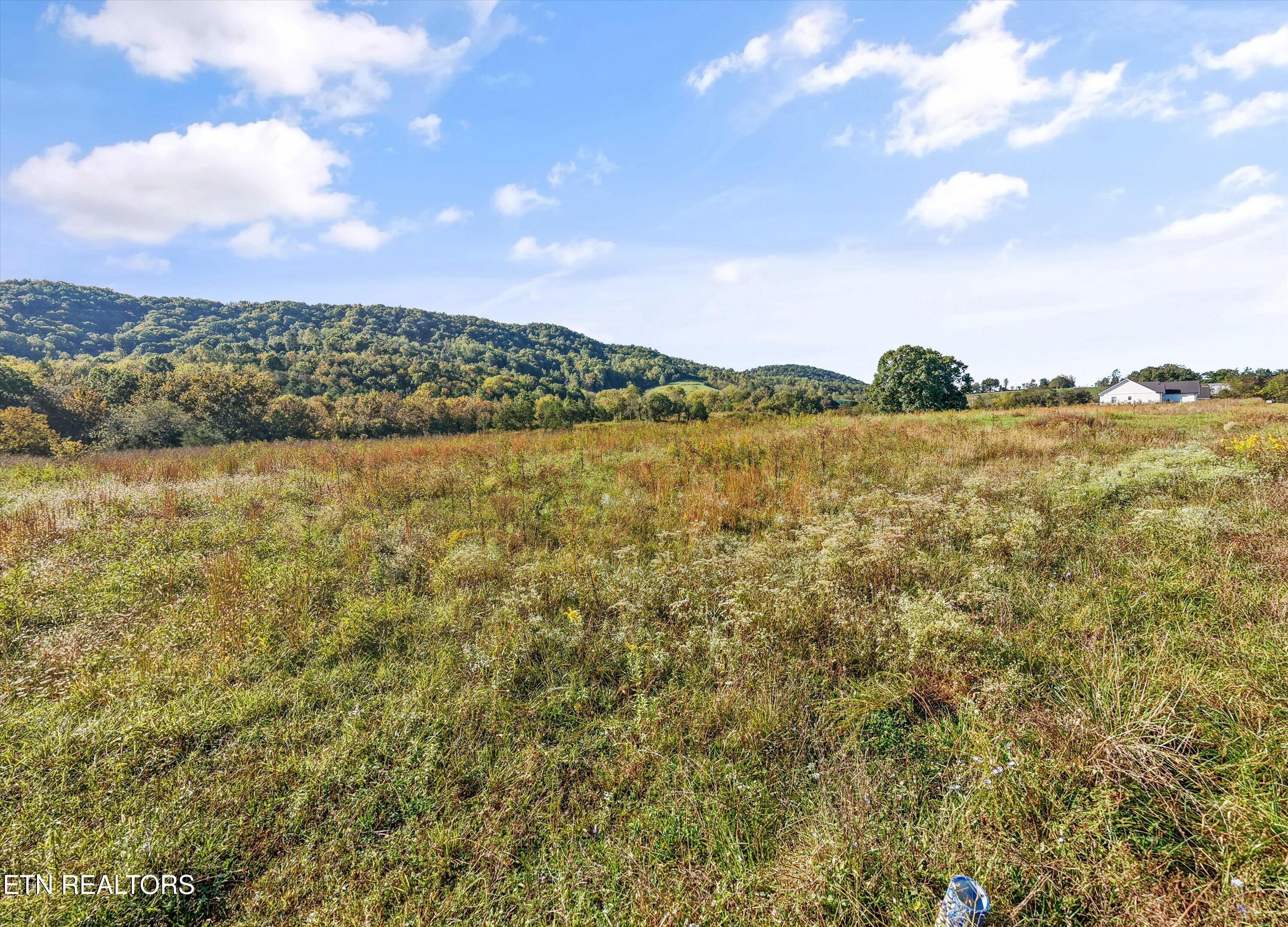 Waterfront Lot 23