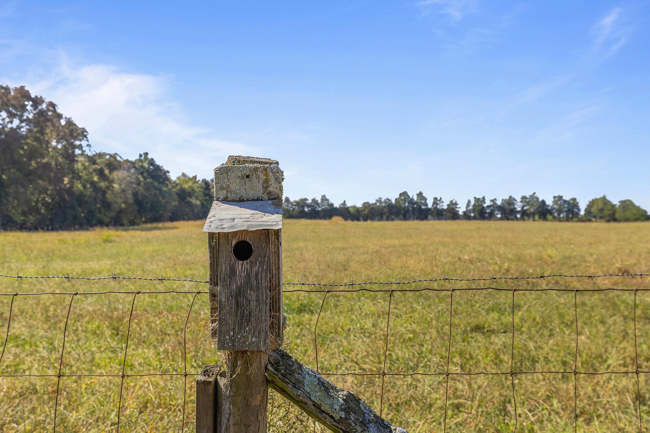 536 SE Ladd Springs Rd