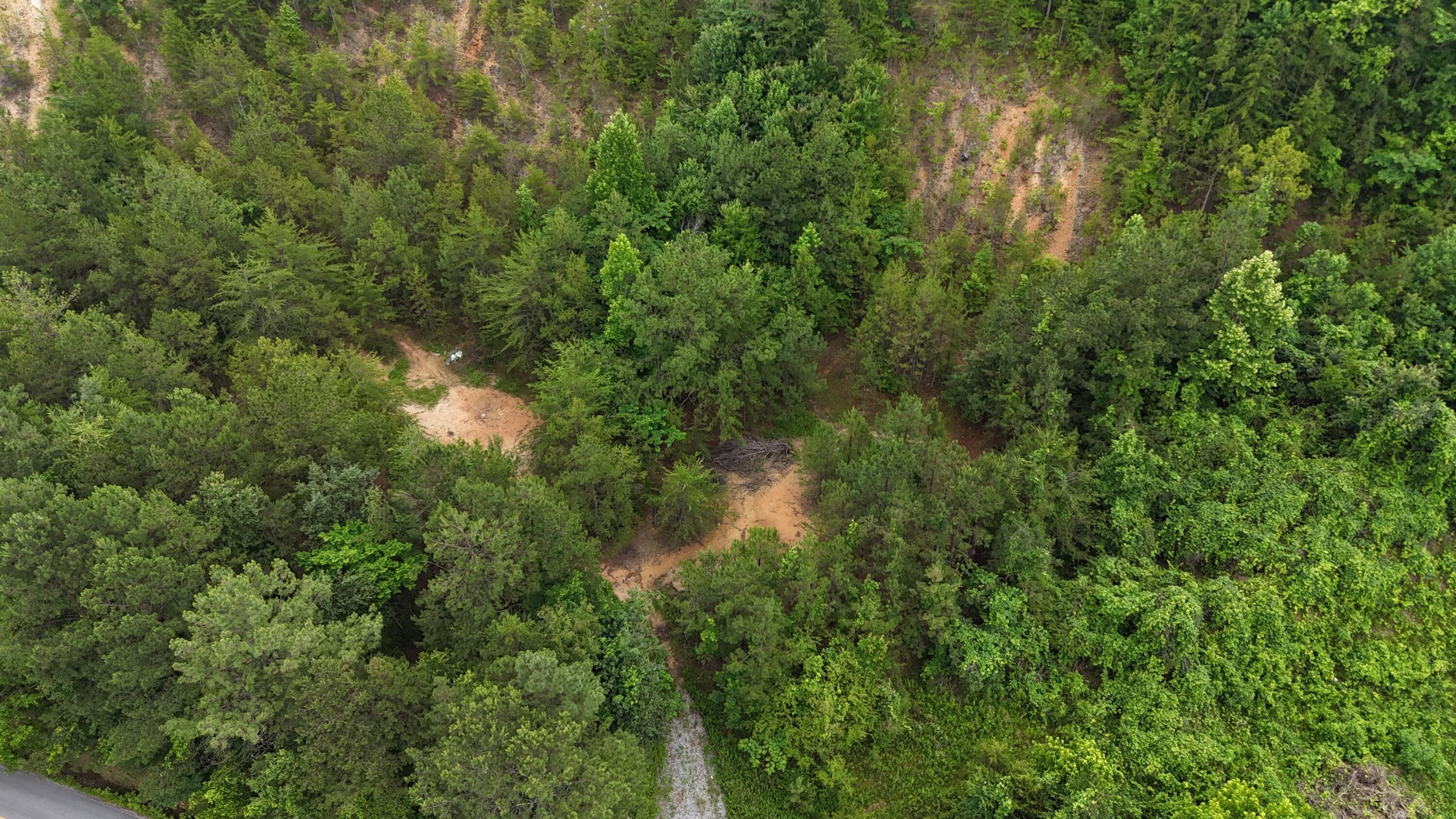 1814 Dallas Lake Road