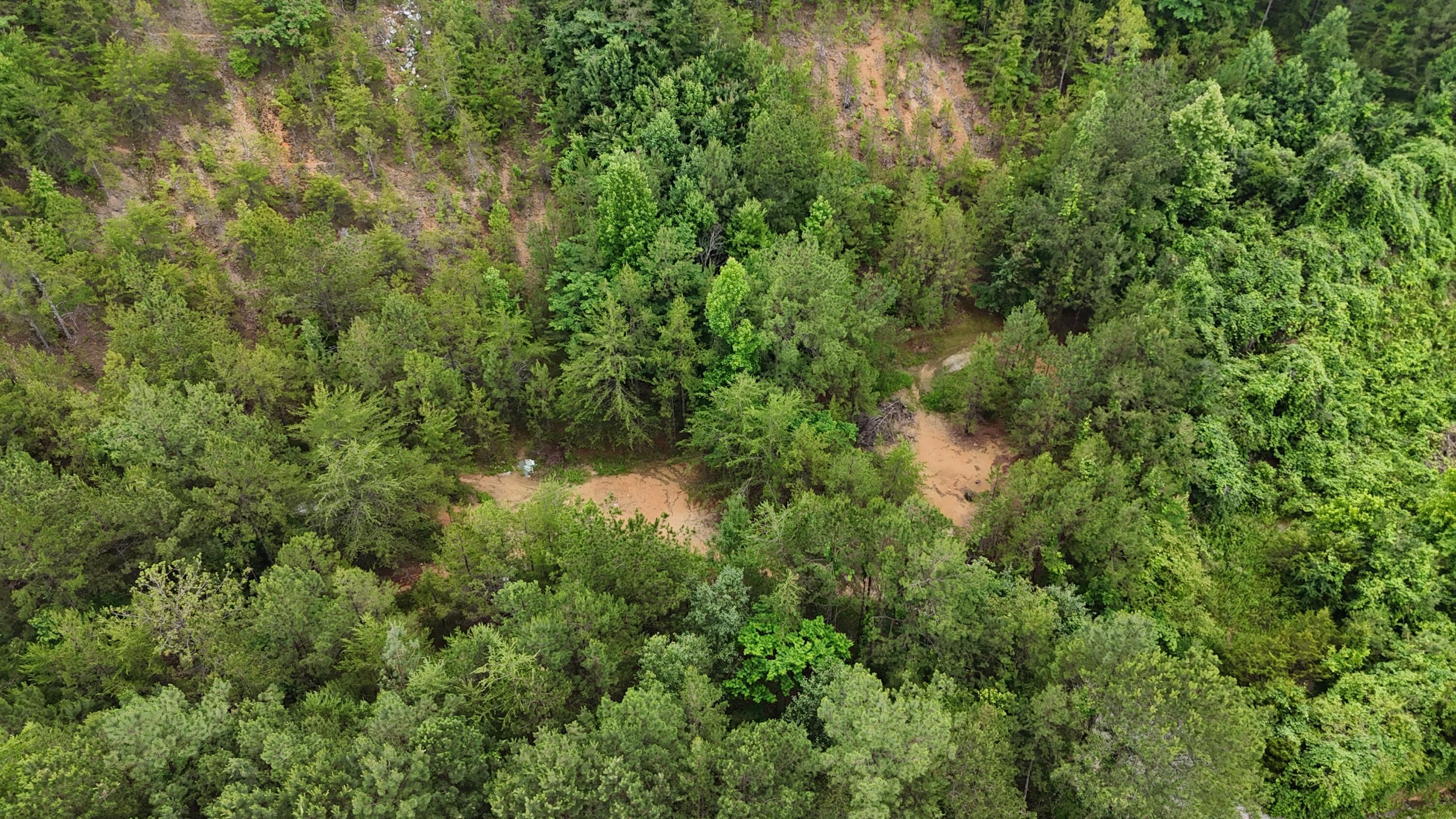 1814 Dallas Lake Road