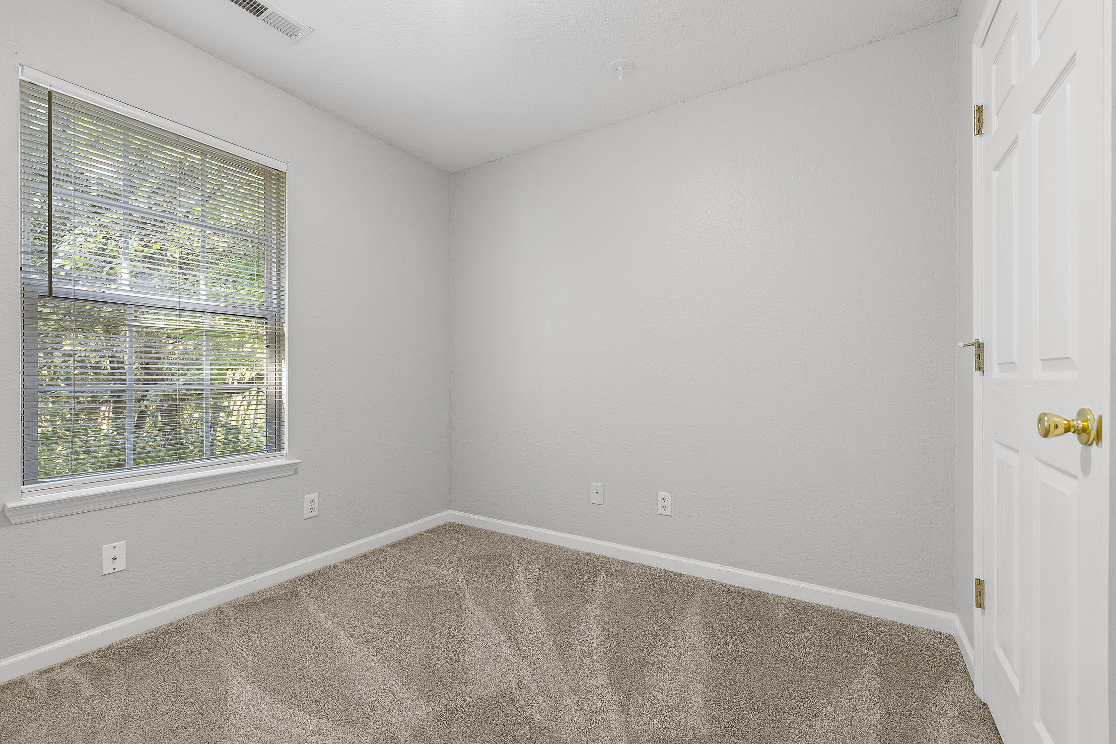 199 Stokely Drive