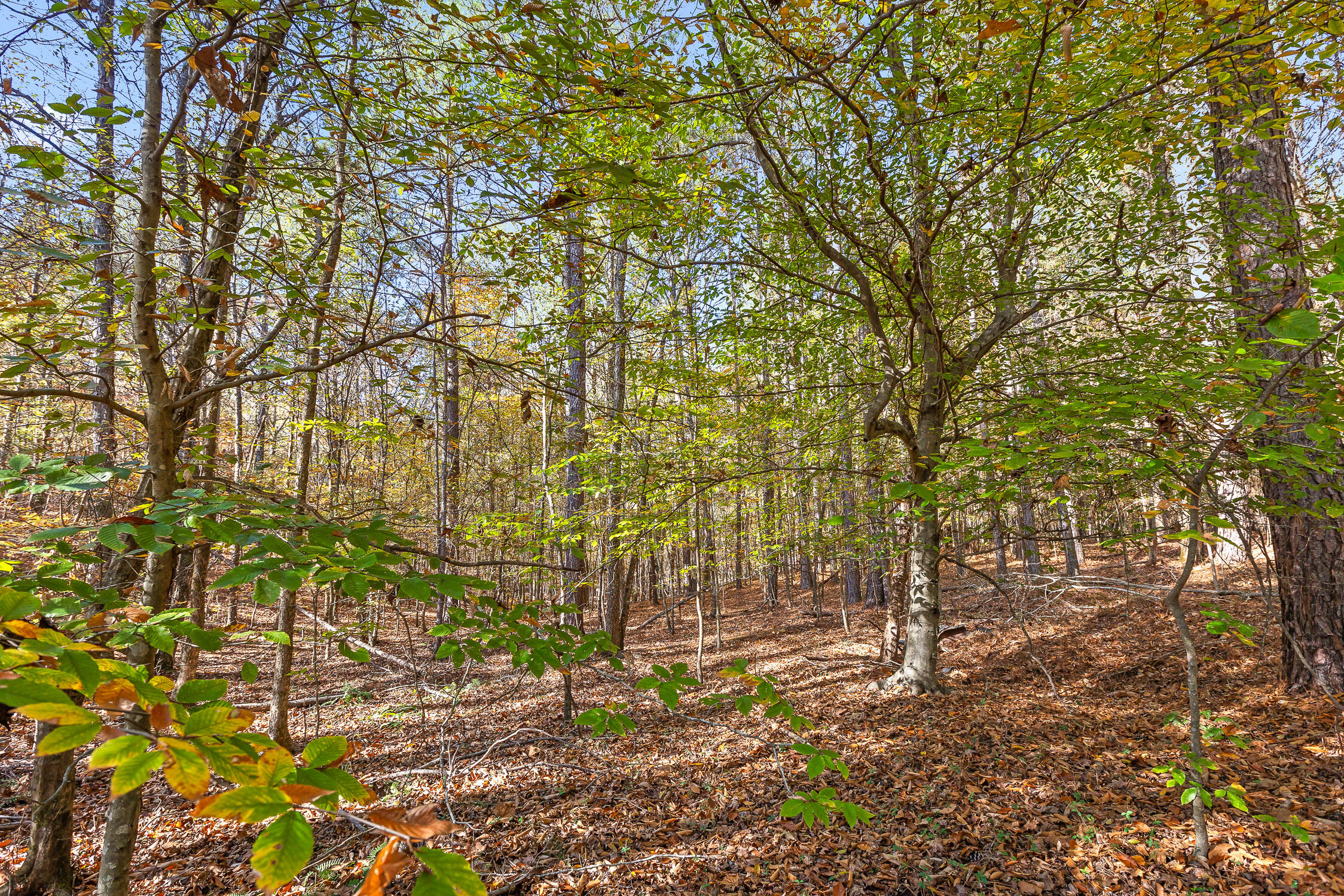 1492 Brymer Creek Road, McDonald