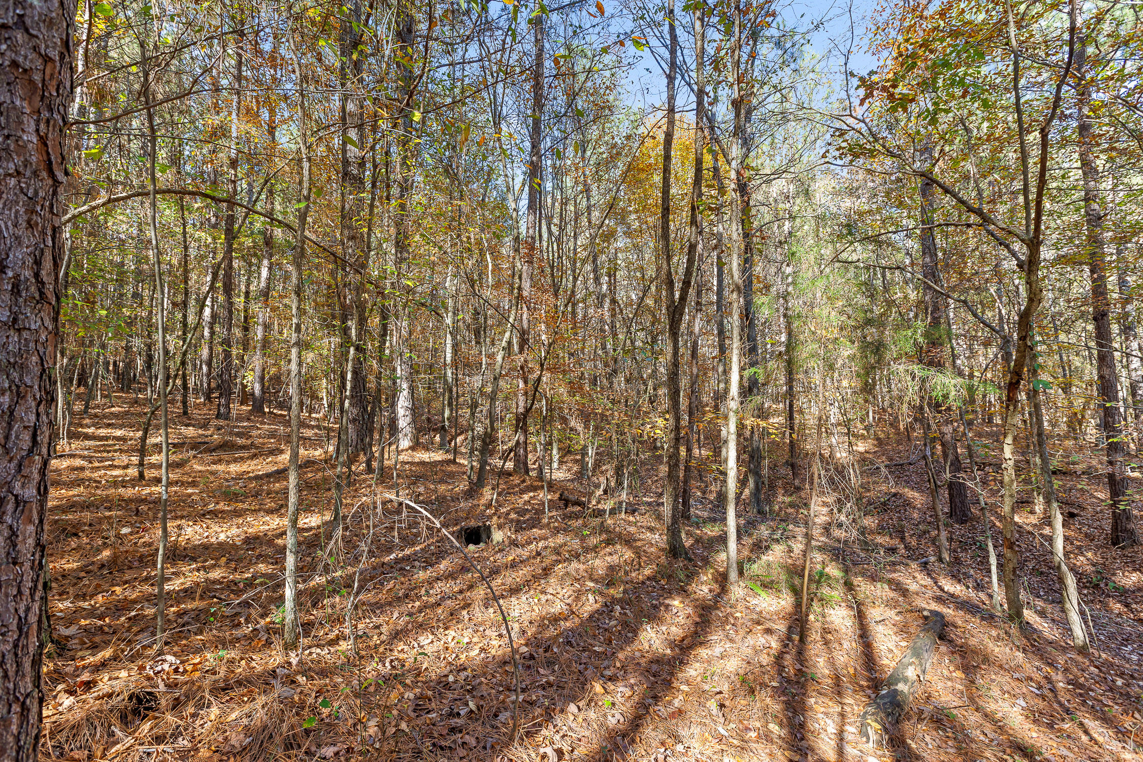 1492 Brymer Creek Road, McDonald