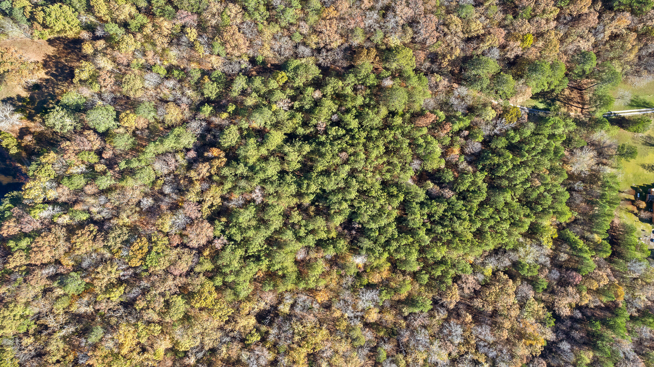 1492 Brymer Creek Road, McDonald