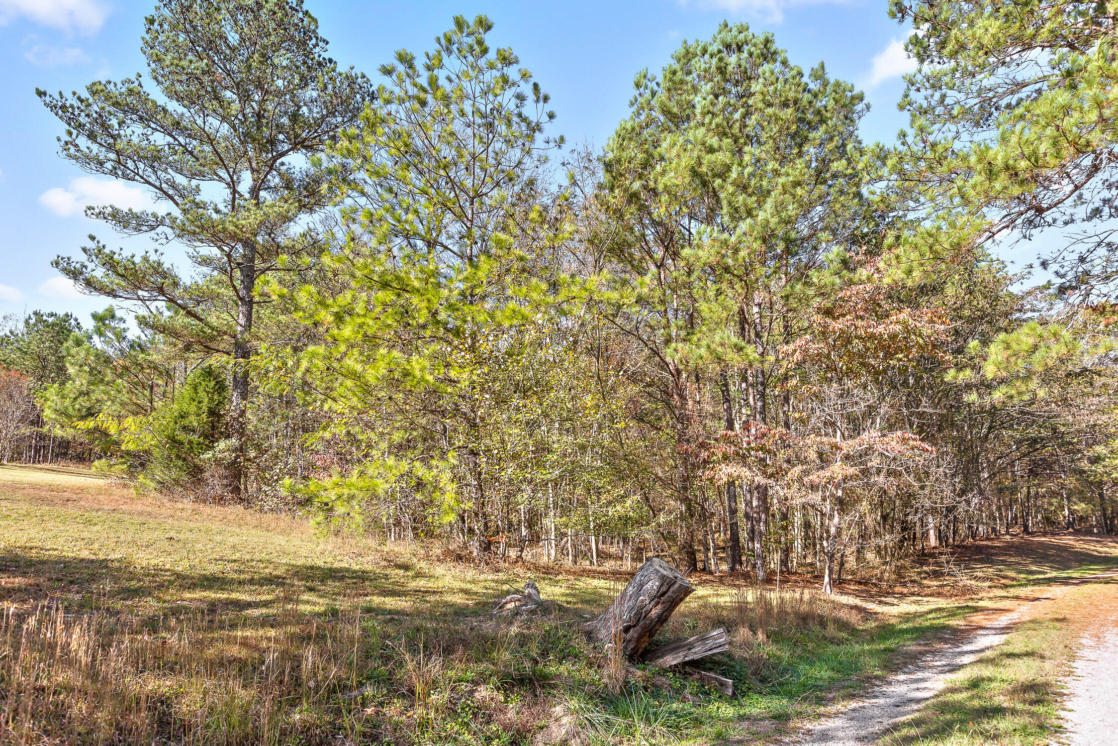 1492 Brymer Creek Road, McDonald