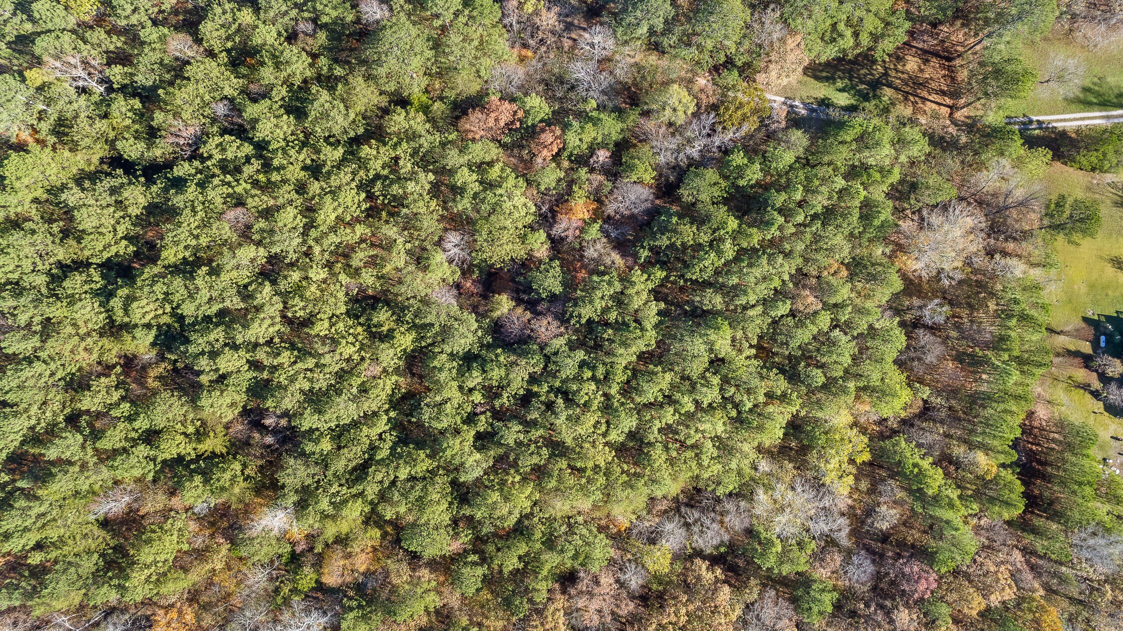 1492 Brymer Creek Road, McDonald