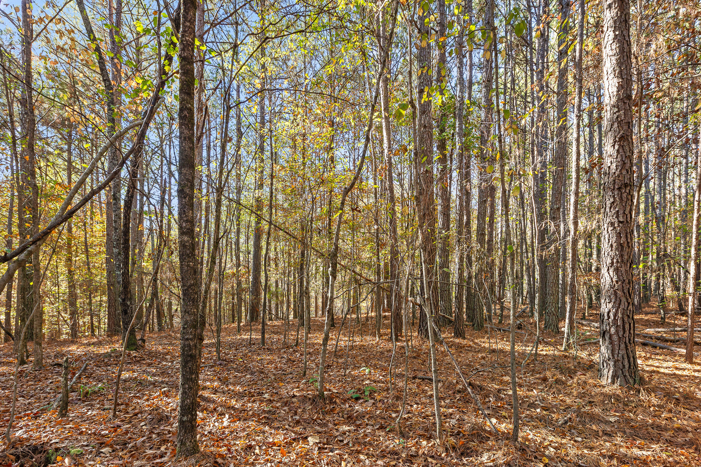 1492 Brymer Creek Road, McDonald