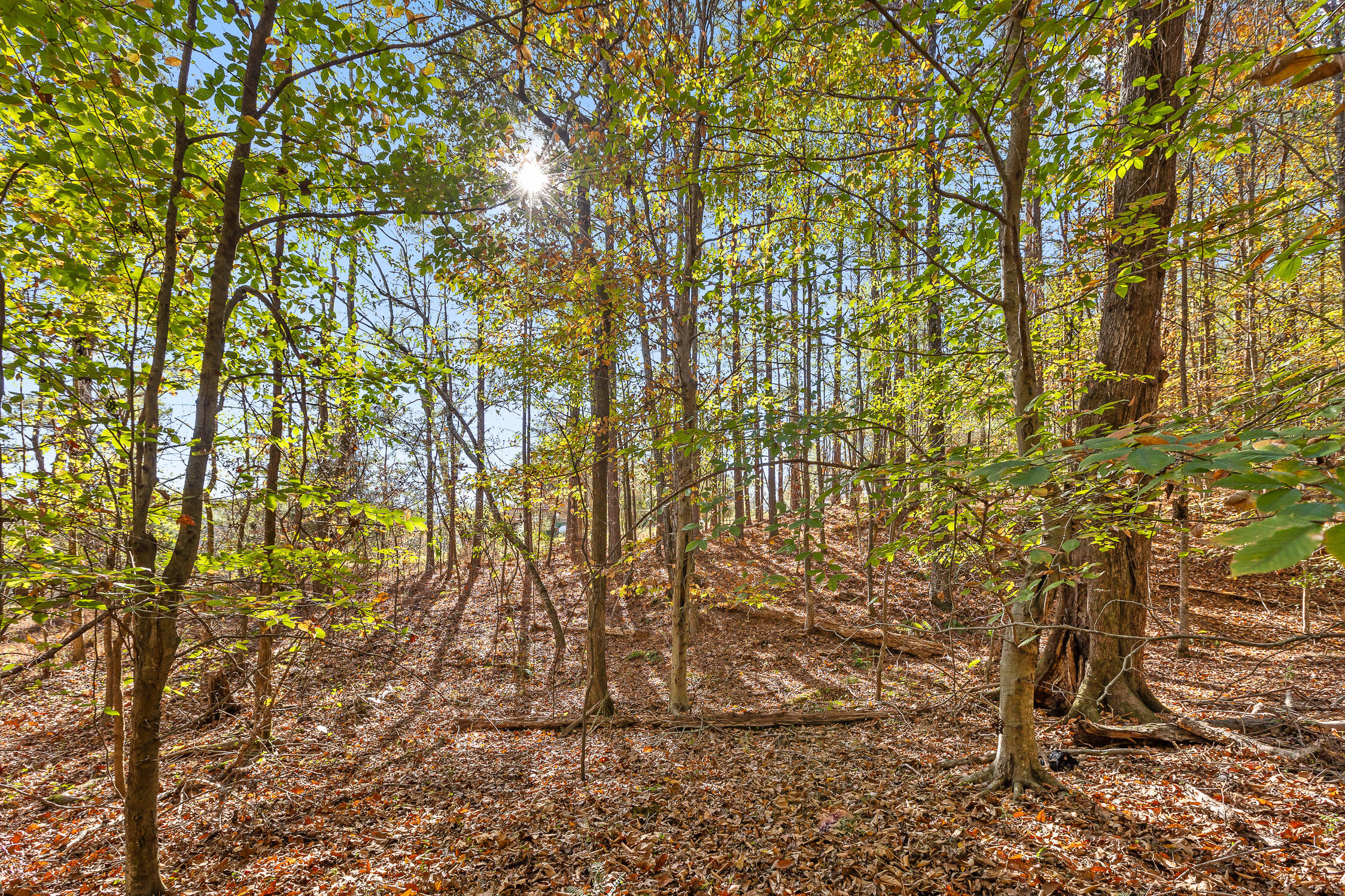 1492 Brymer Creek Road, McDonald