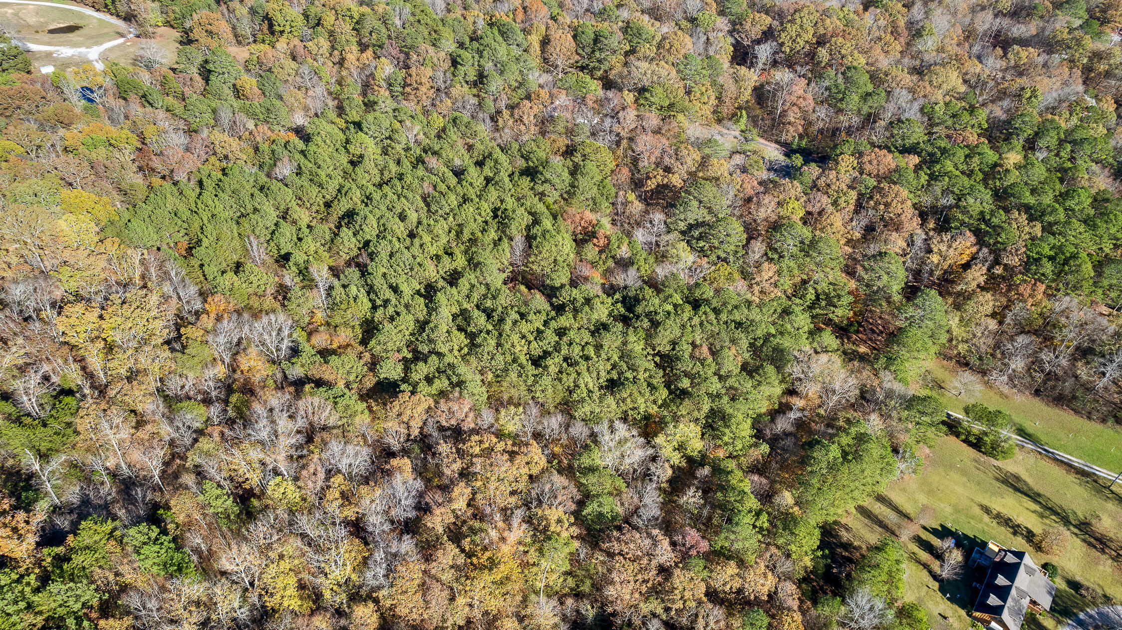 1492 Brymer Creek Road, McDonald