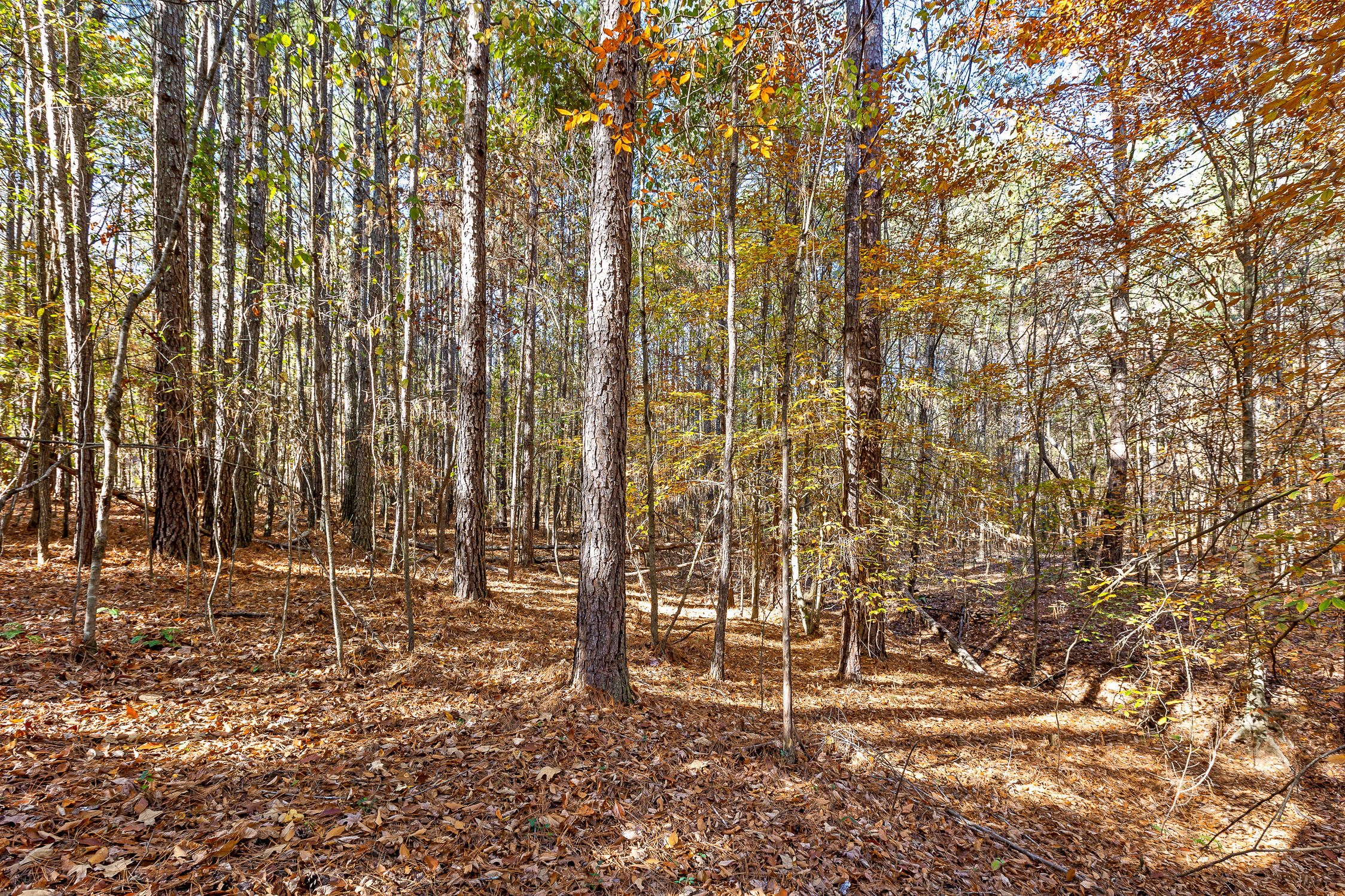 1492 Brymer Creek Road, McDonald