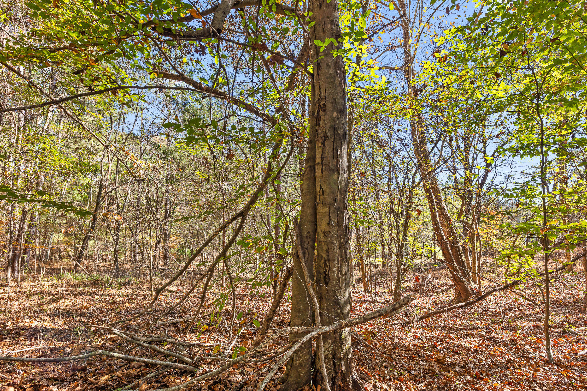 1492 Brymer Creek Road, McDonald