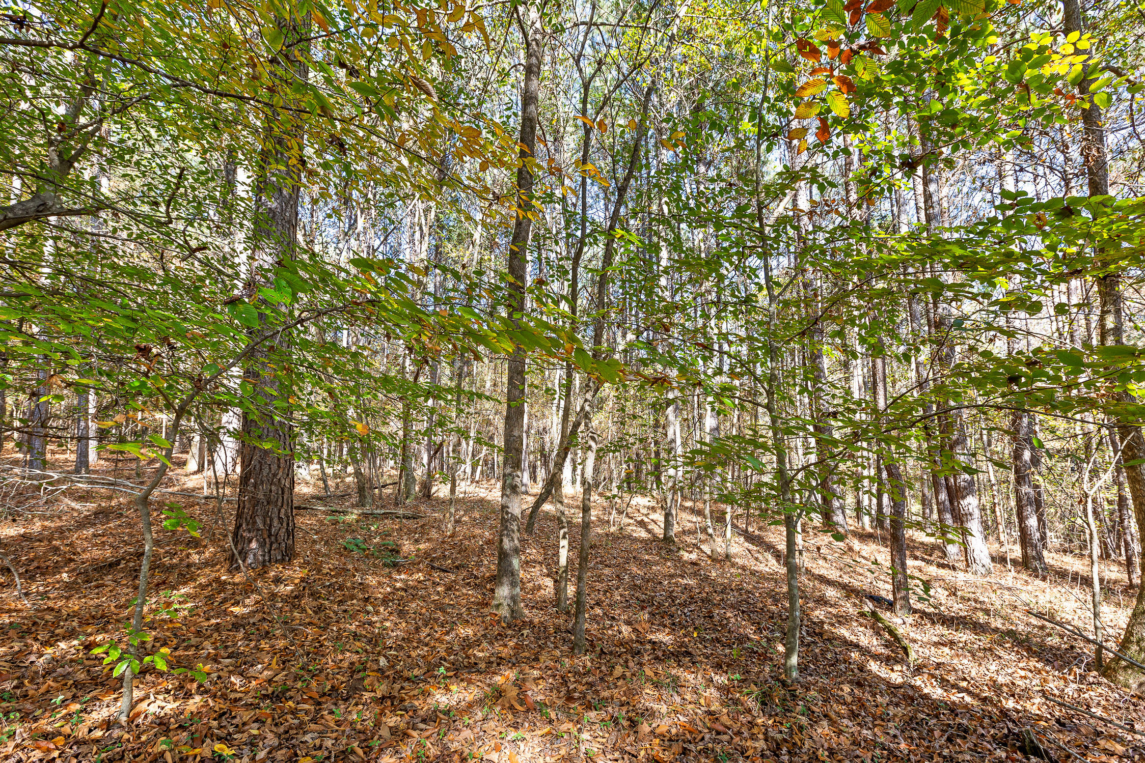 1492 Brymer Creek Road, McDonald