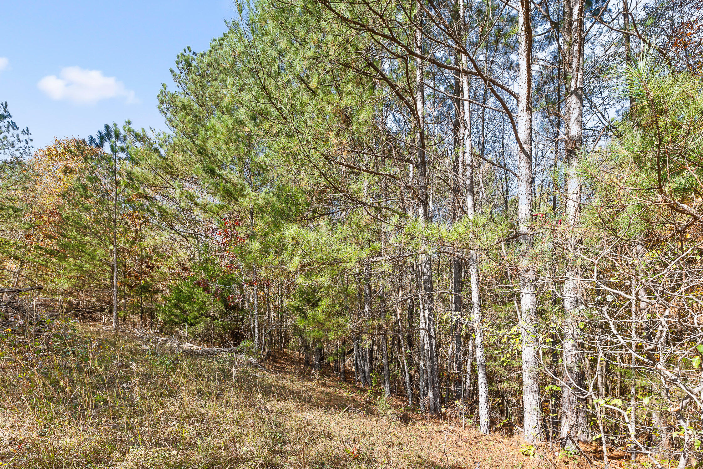 1492 Brymer Creek Road, McDonald