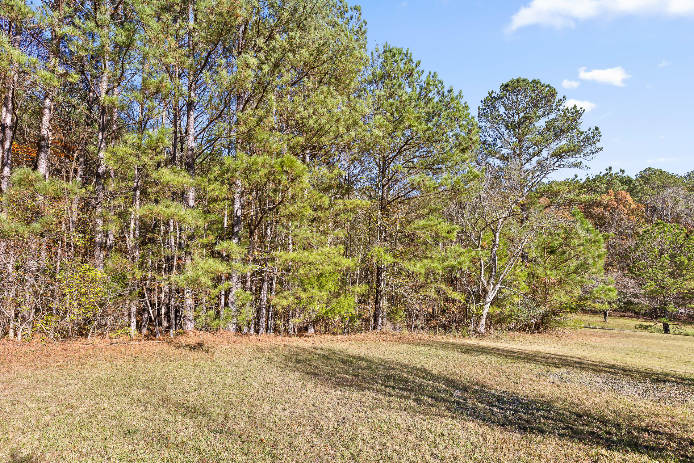 1492 Brymer Creek Road, McDonald