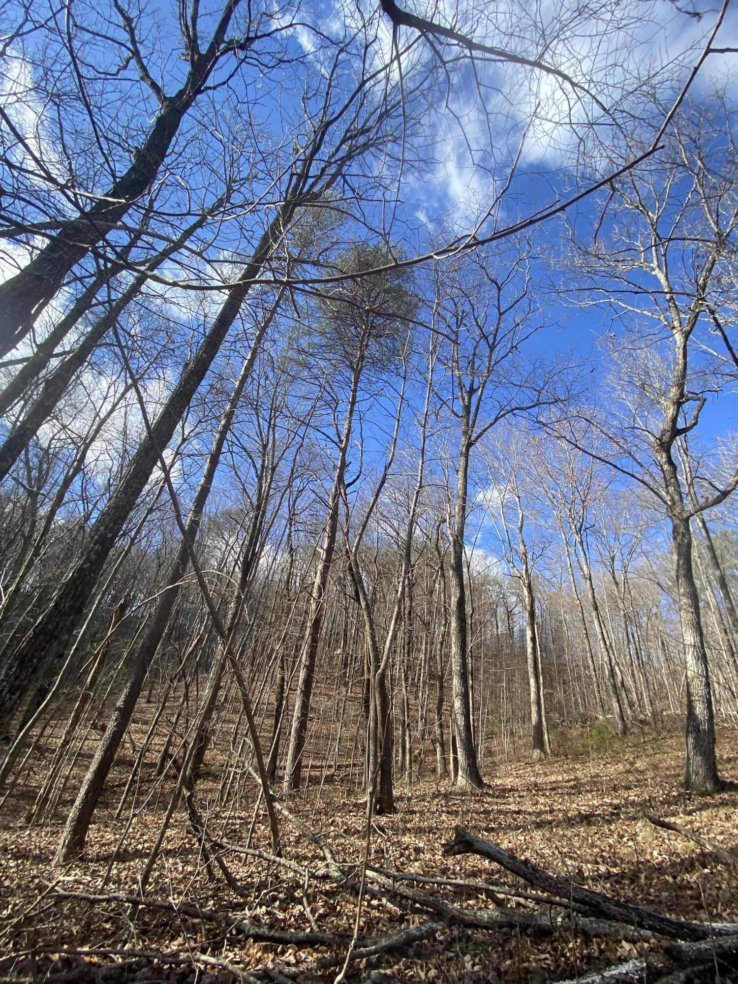 00 Bluff View Drive, #558