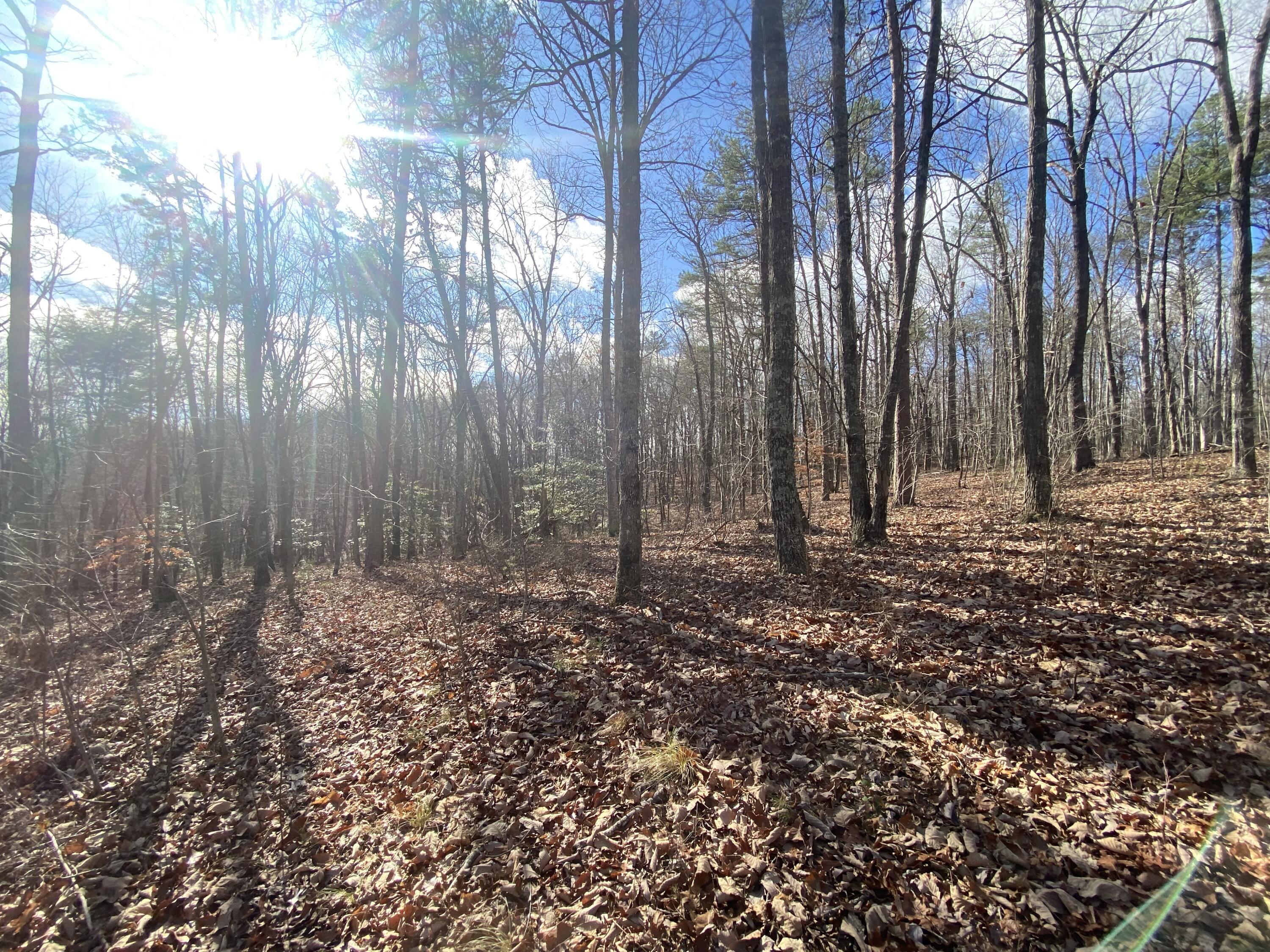 00 Bluff View Drive, #558
