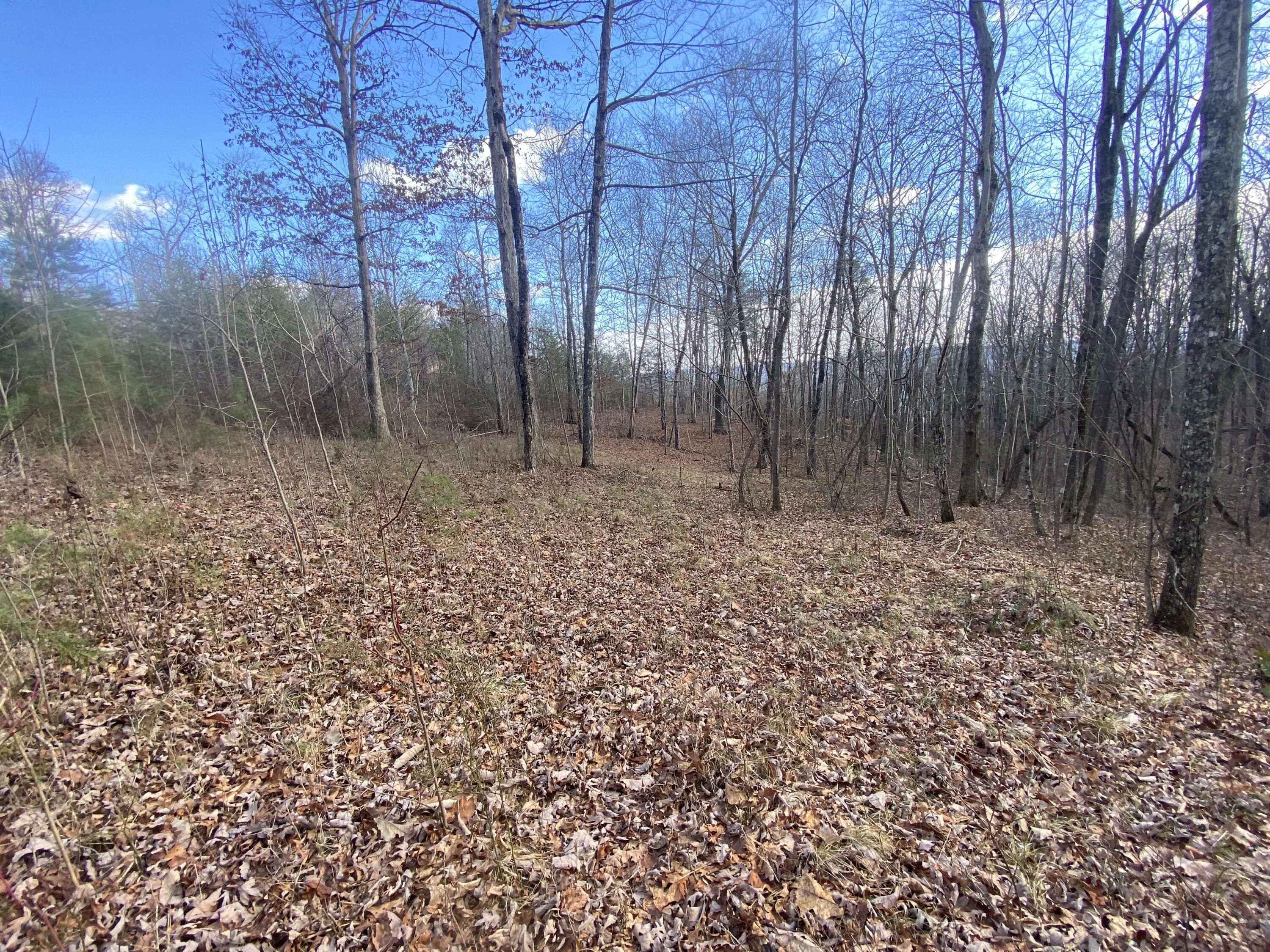 00 Bluff View Drive, #558