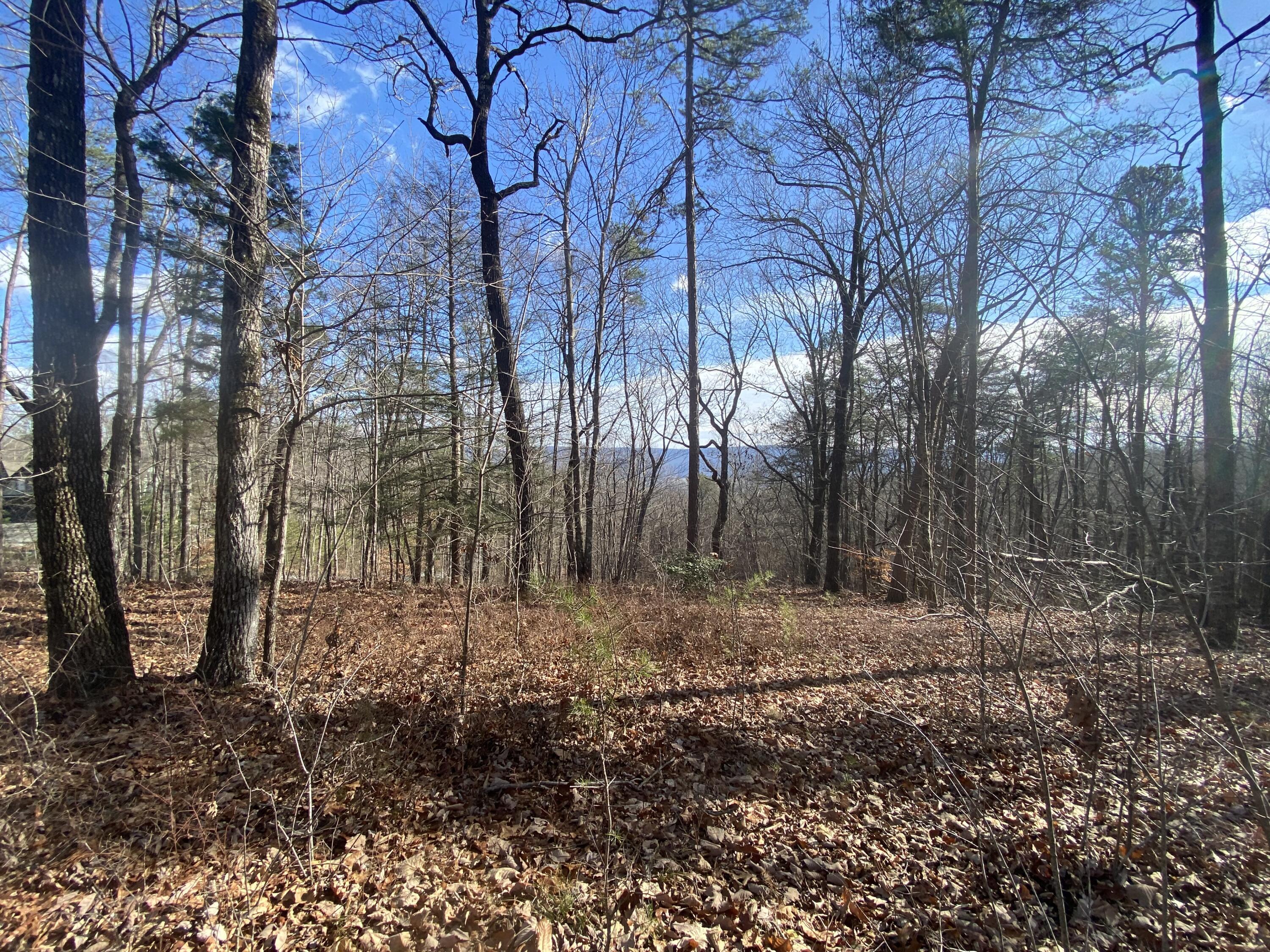 00 Bluff View Drive, #558