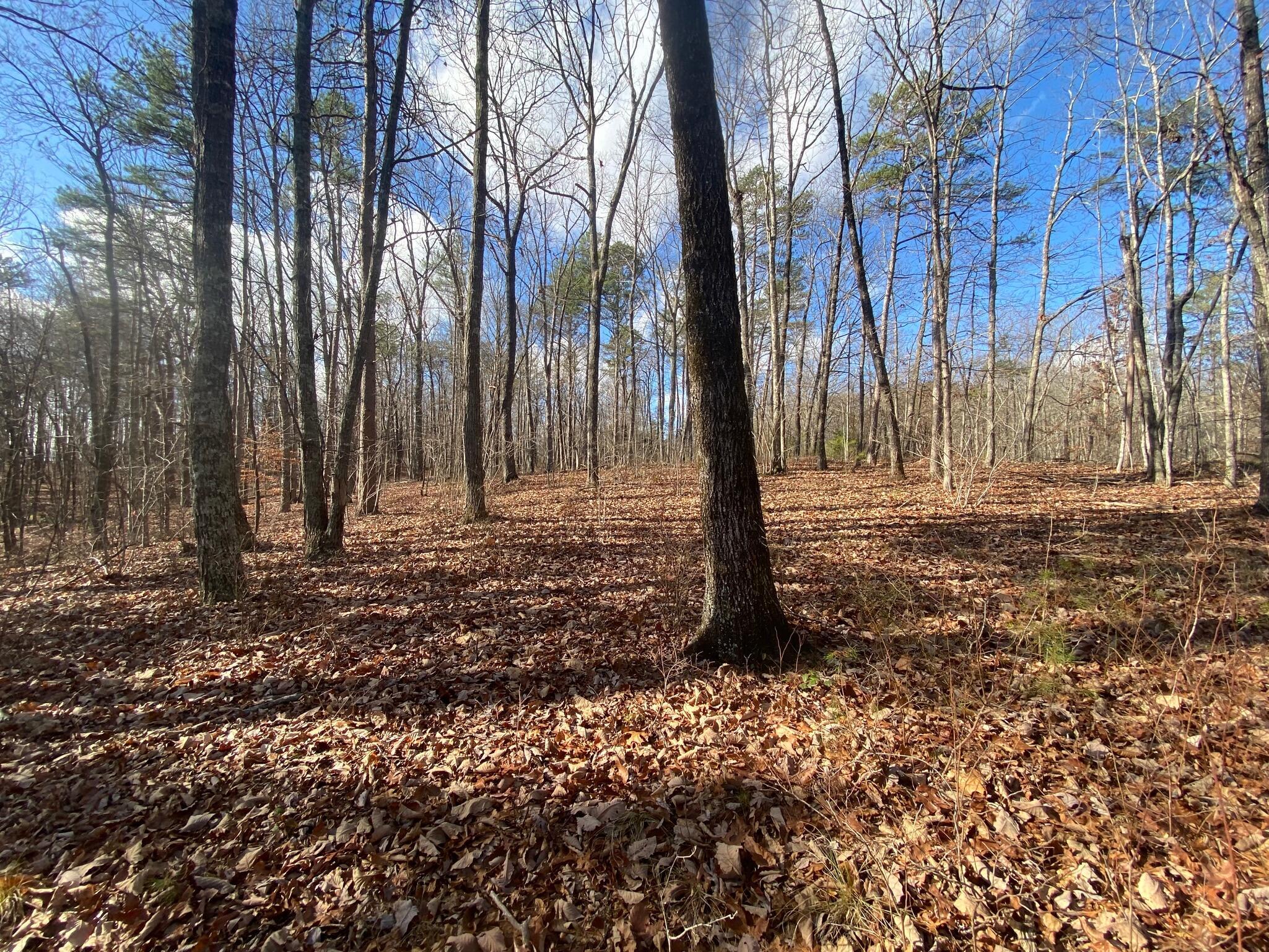 00 Bluff View Drive, #558