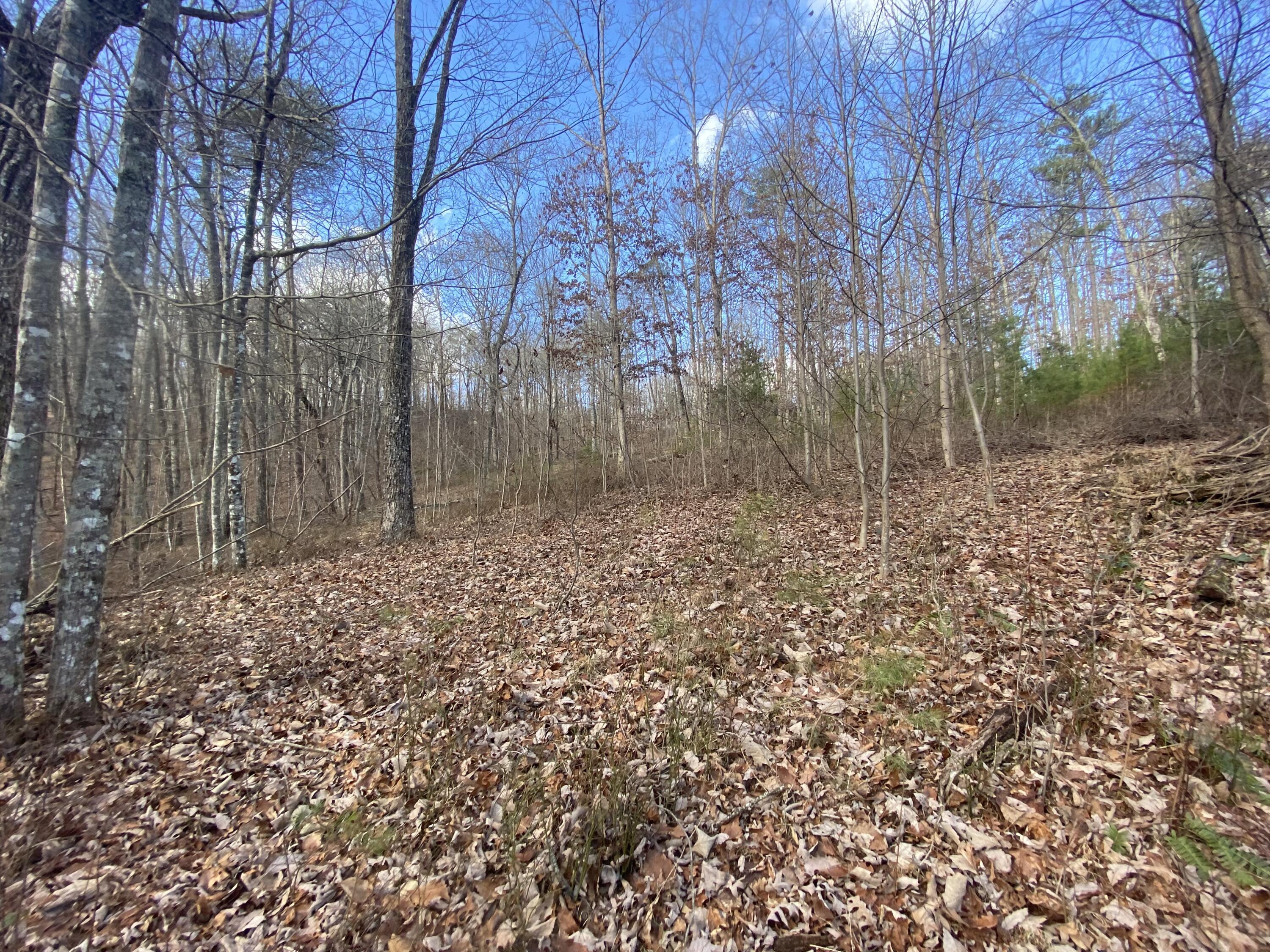 00 Bluff View Drive, #558