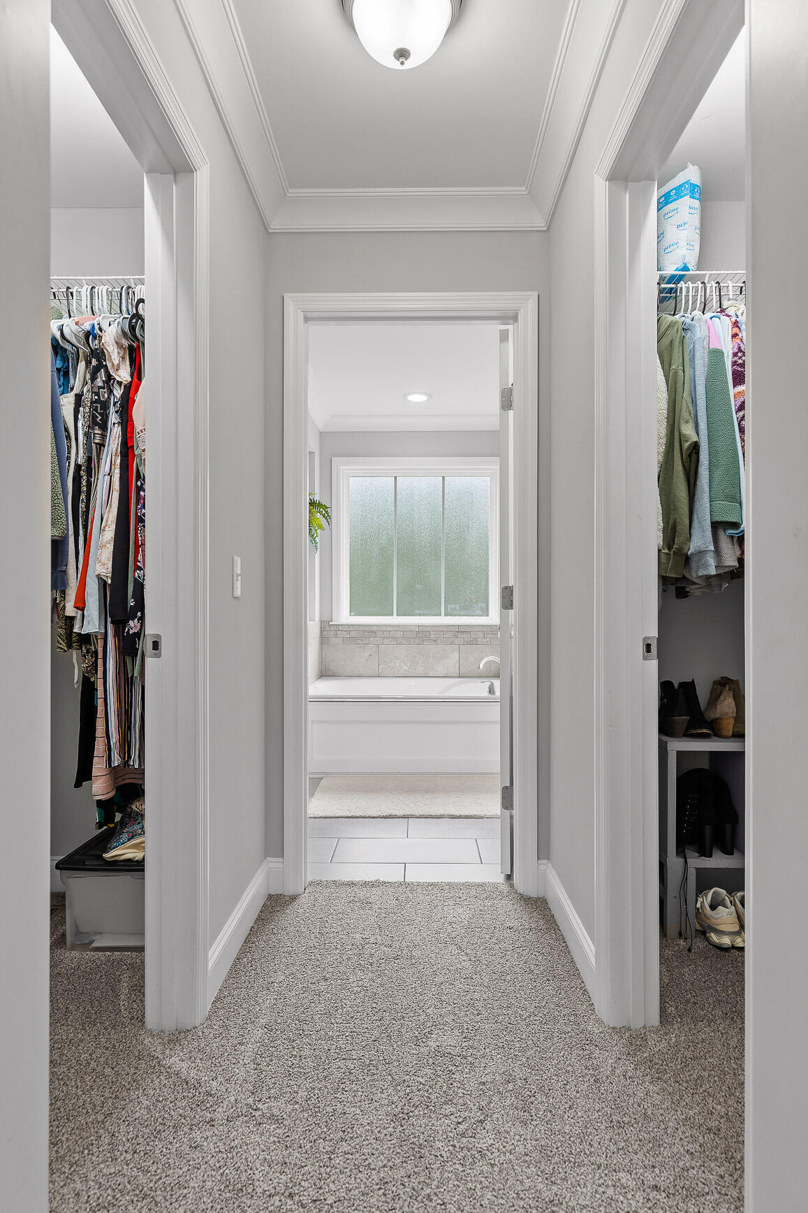 7419 Pfizer Drive