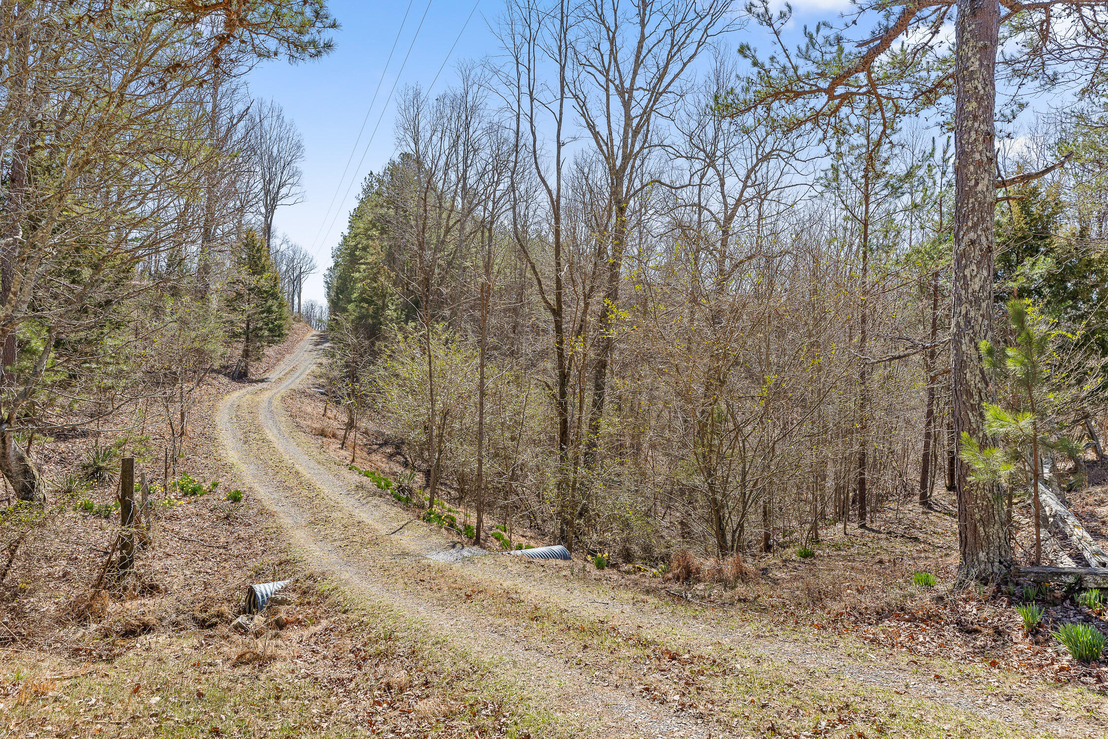 610 Orme Mountain Road
