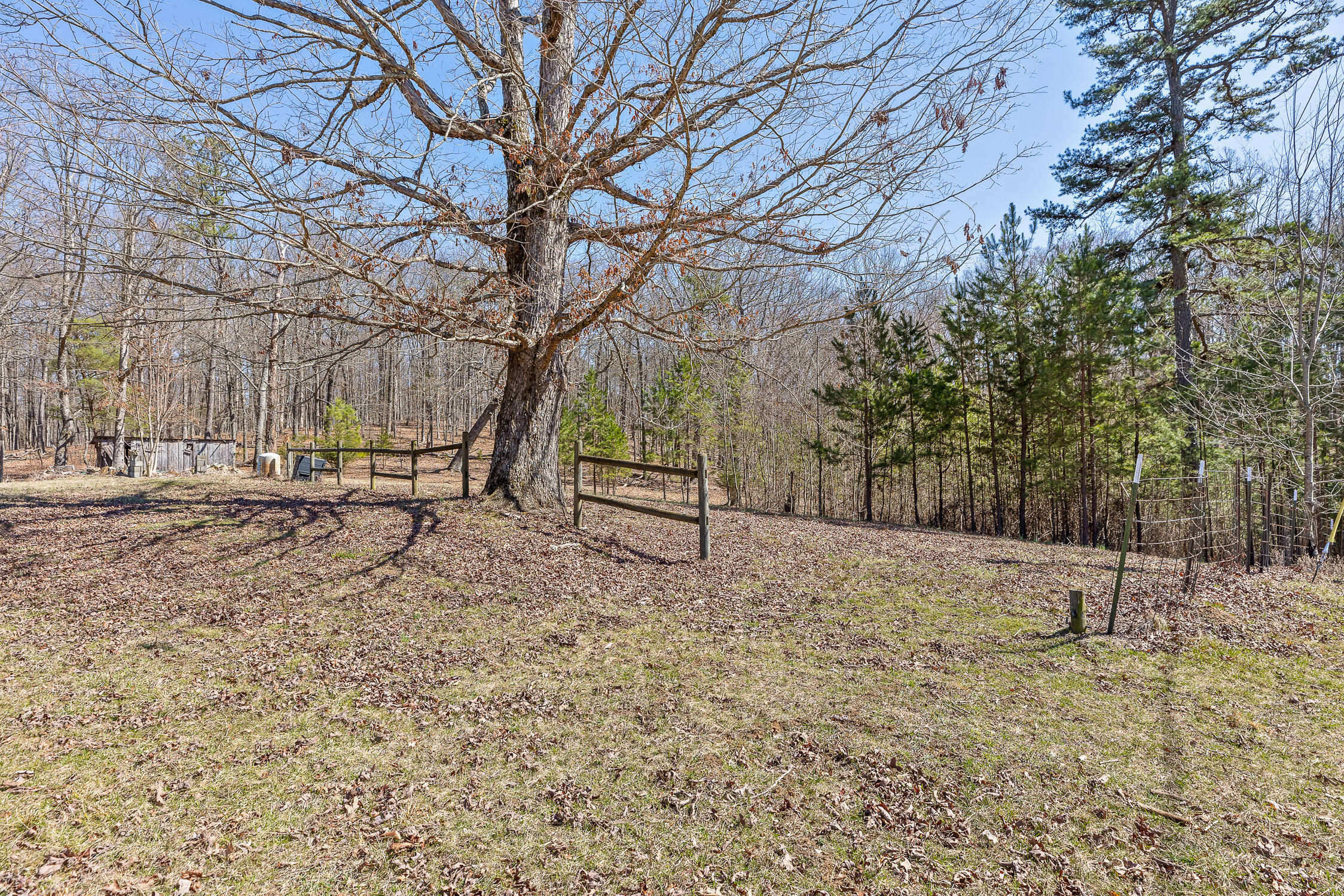 610 Orme Mountain Road