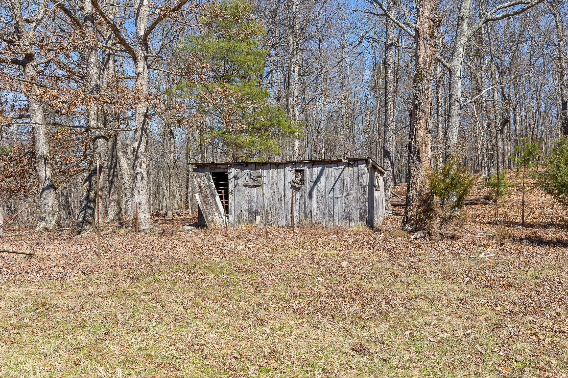 610 Orme Mountain Road