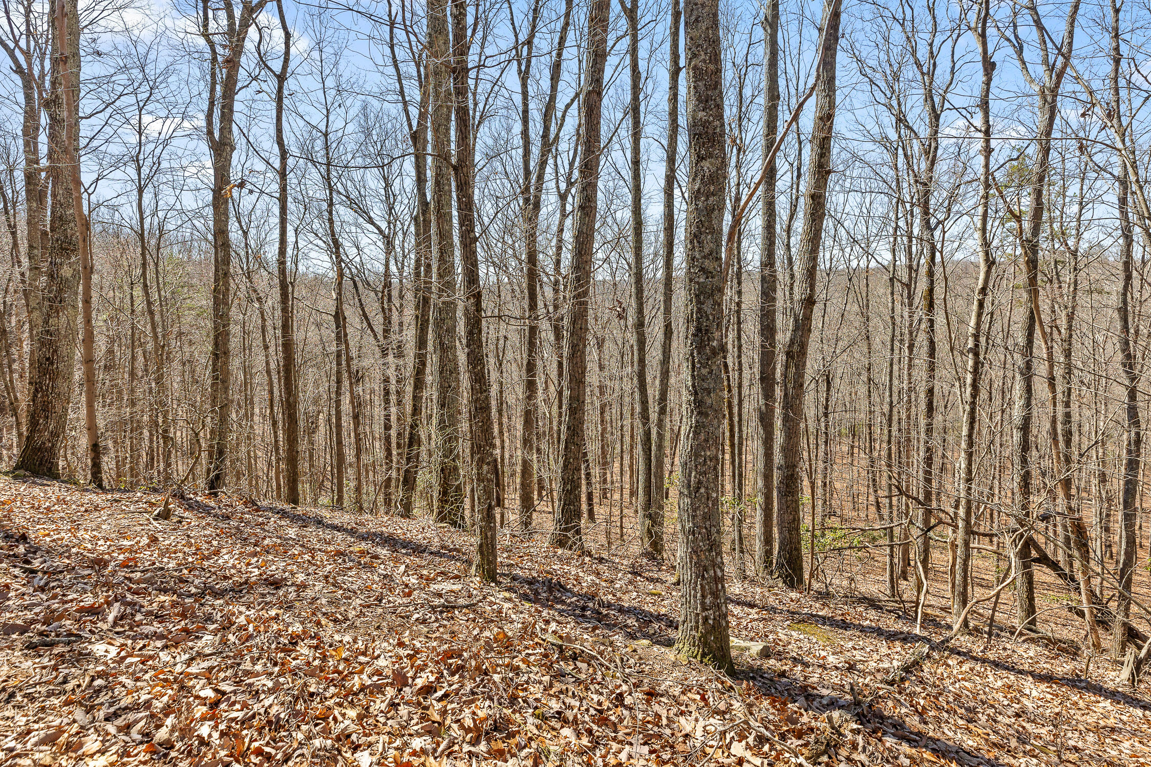 610 Orme Mountain Road