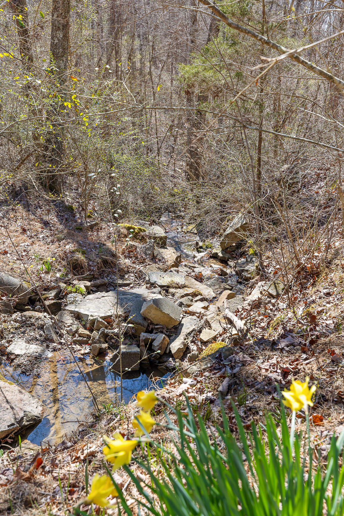 610 Orme Mountain Road