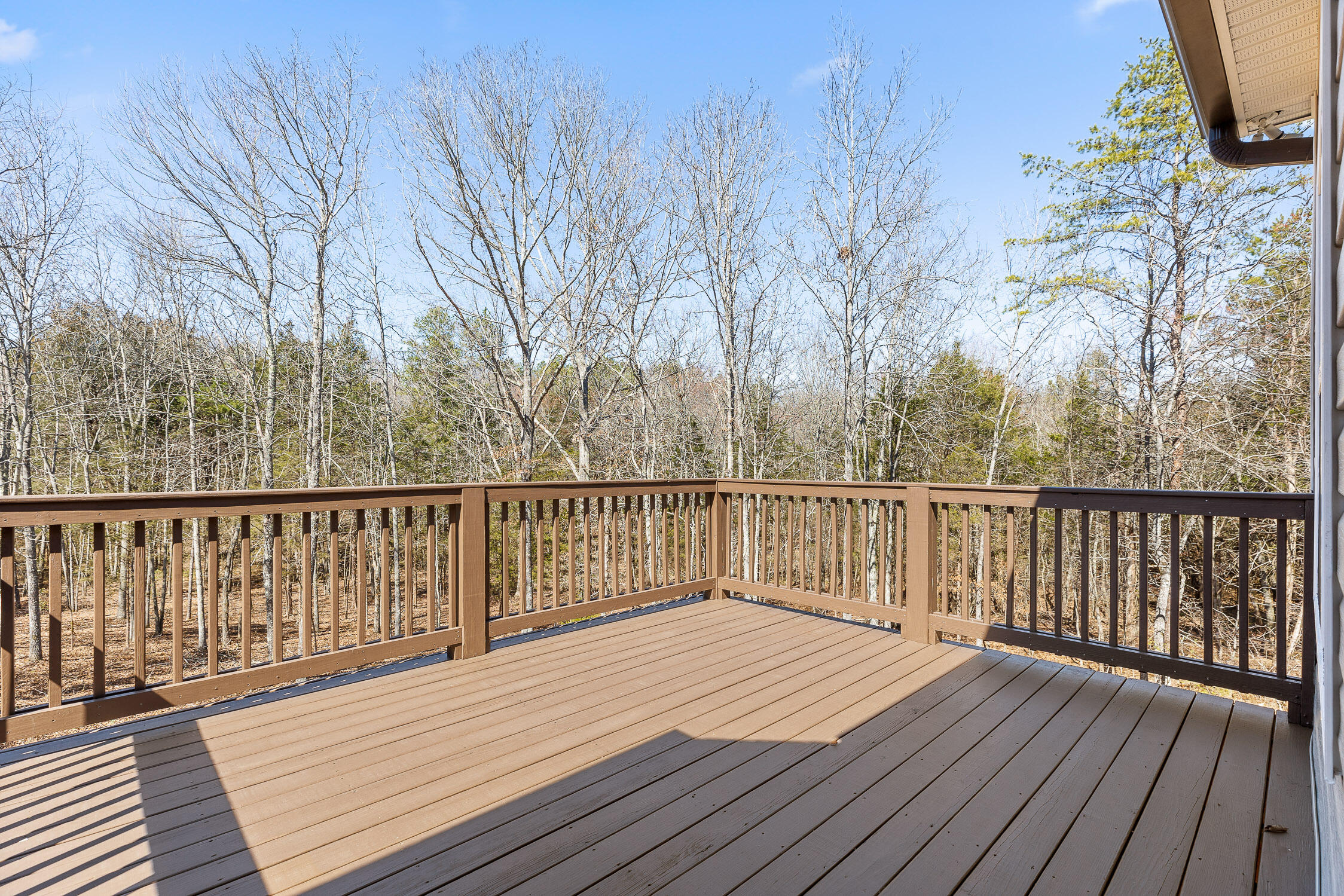 7293 Ron Road