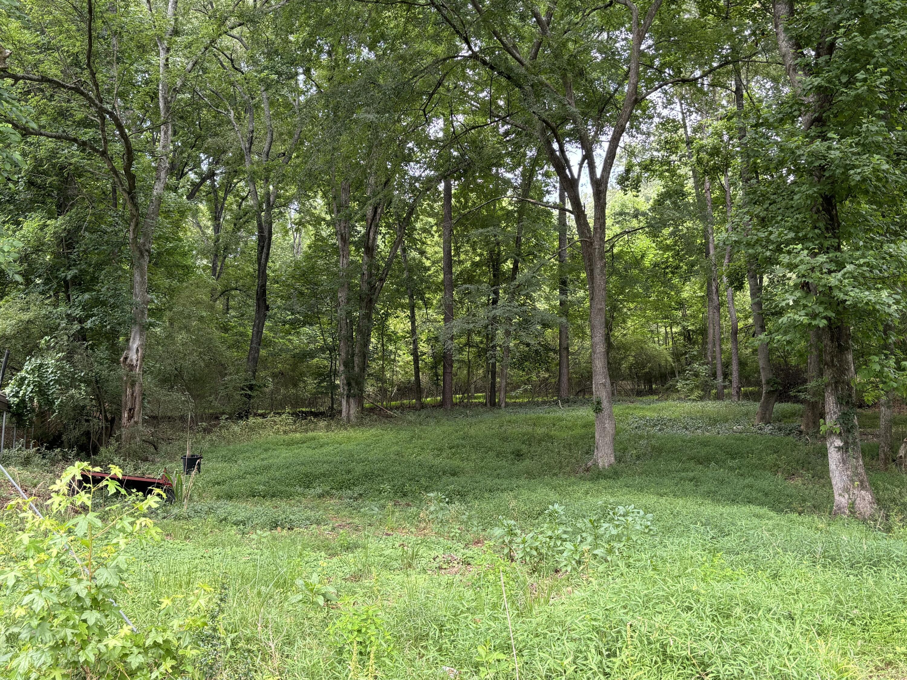 8907 Hidden Branches Road
