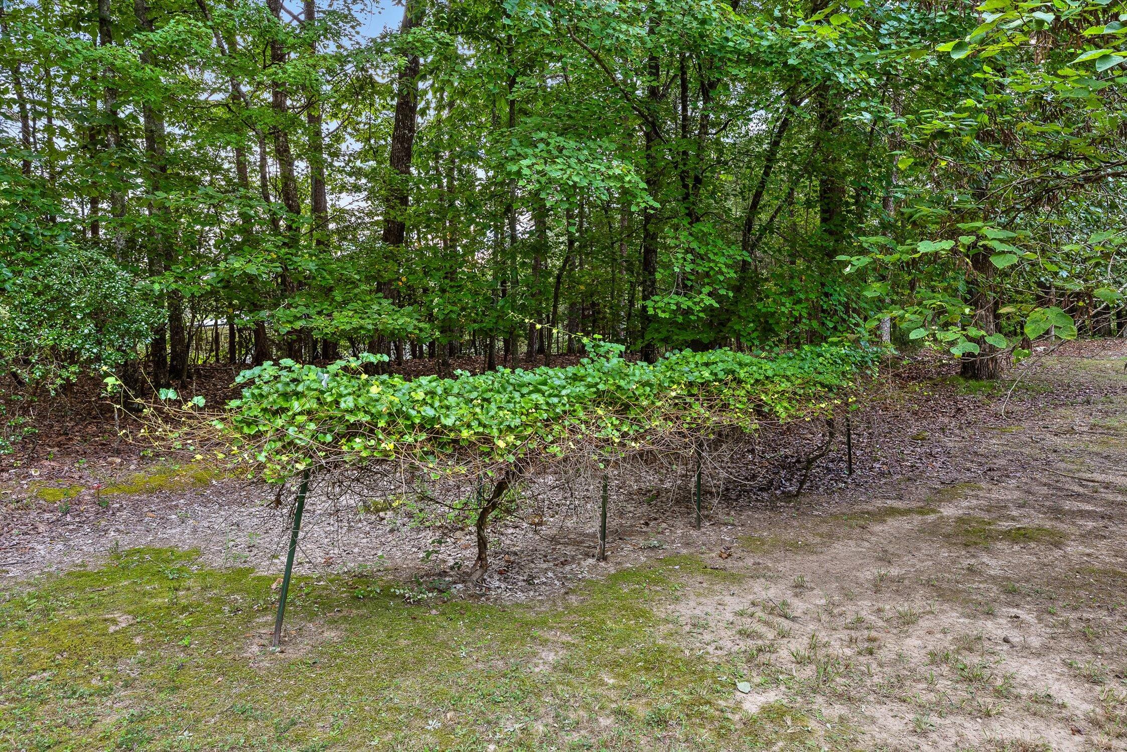 8710 Hidden Branches Road