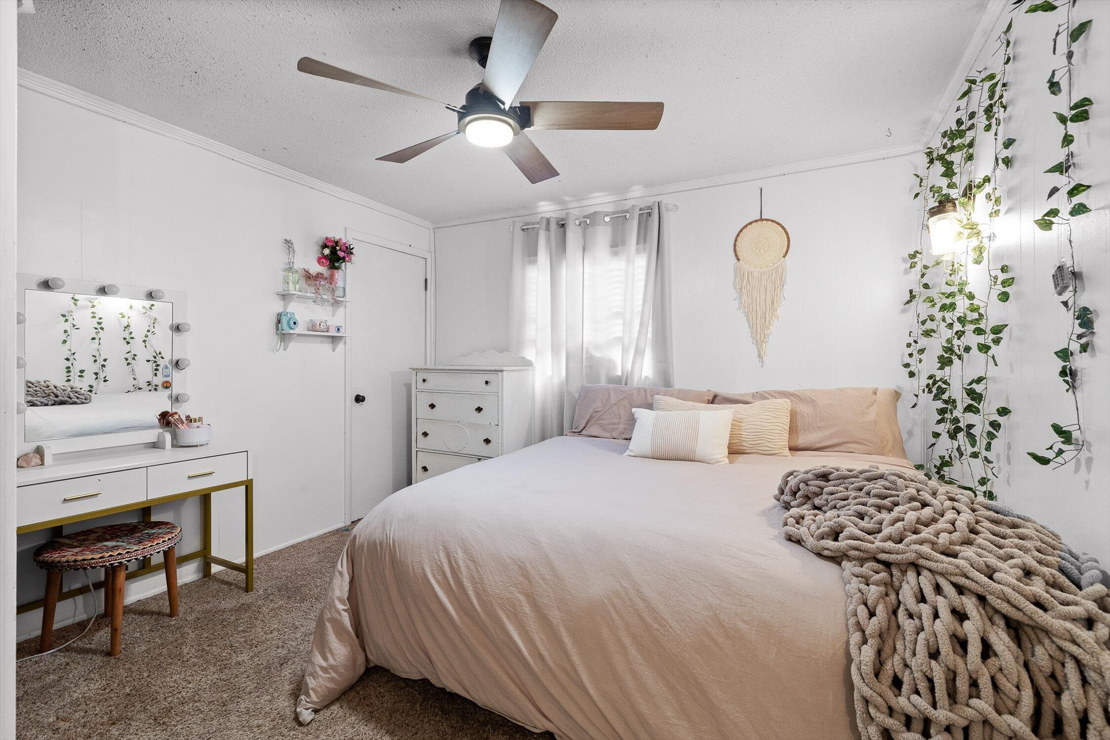 4338 Comet Trail