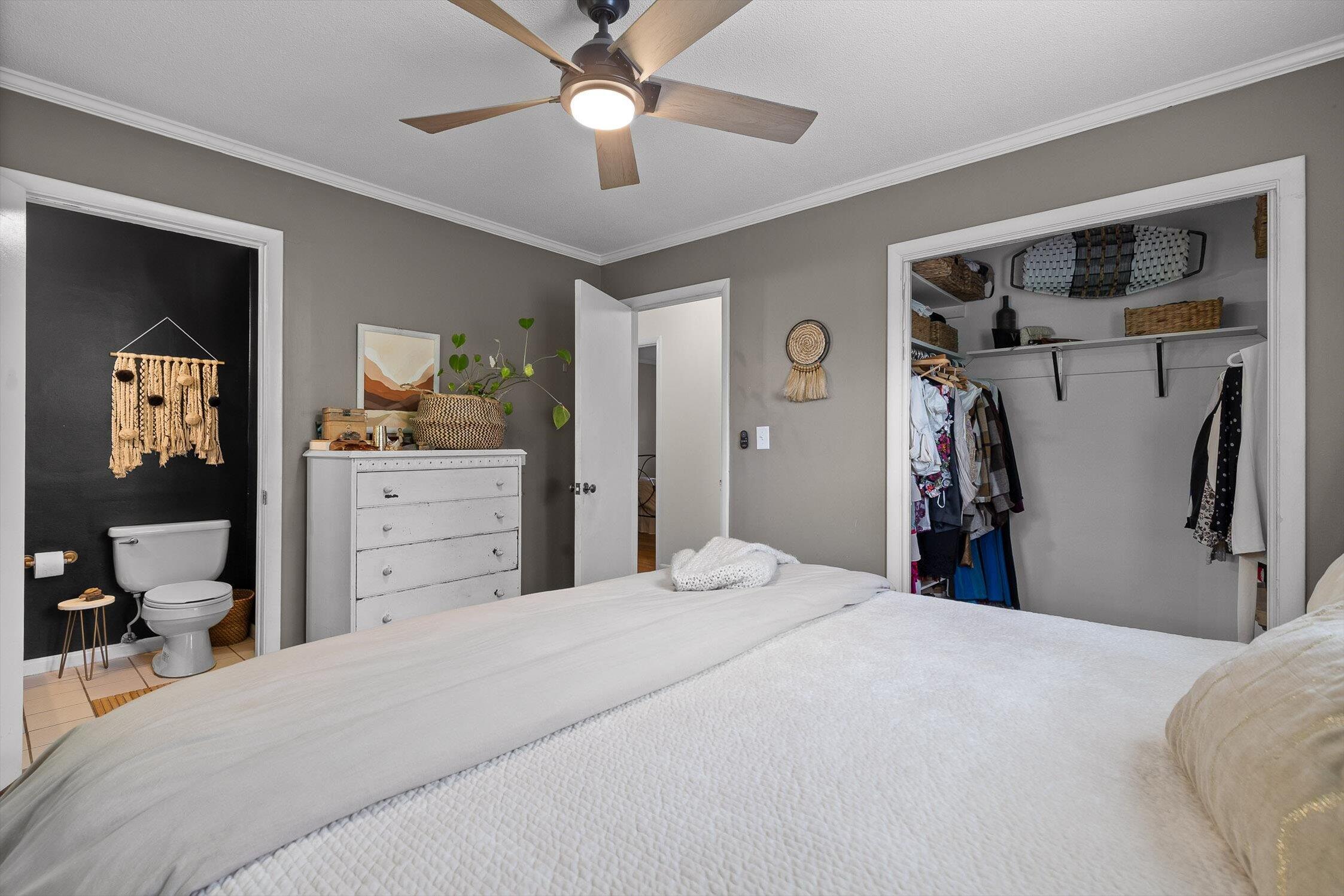 4338 Comet Trail