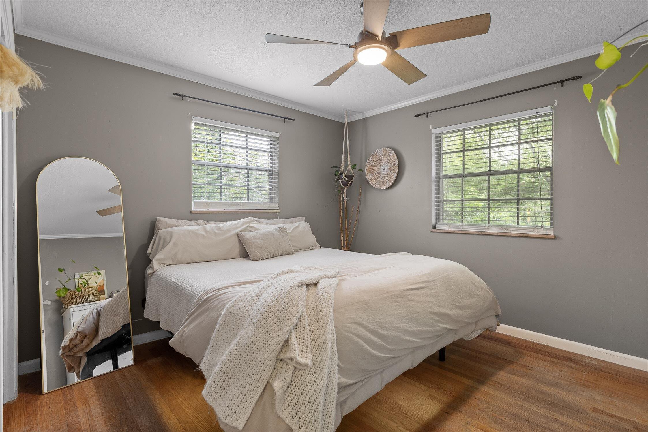 4338 Comet Trail