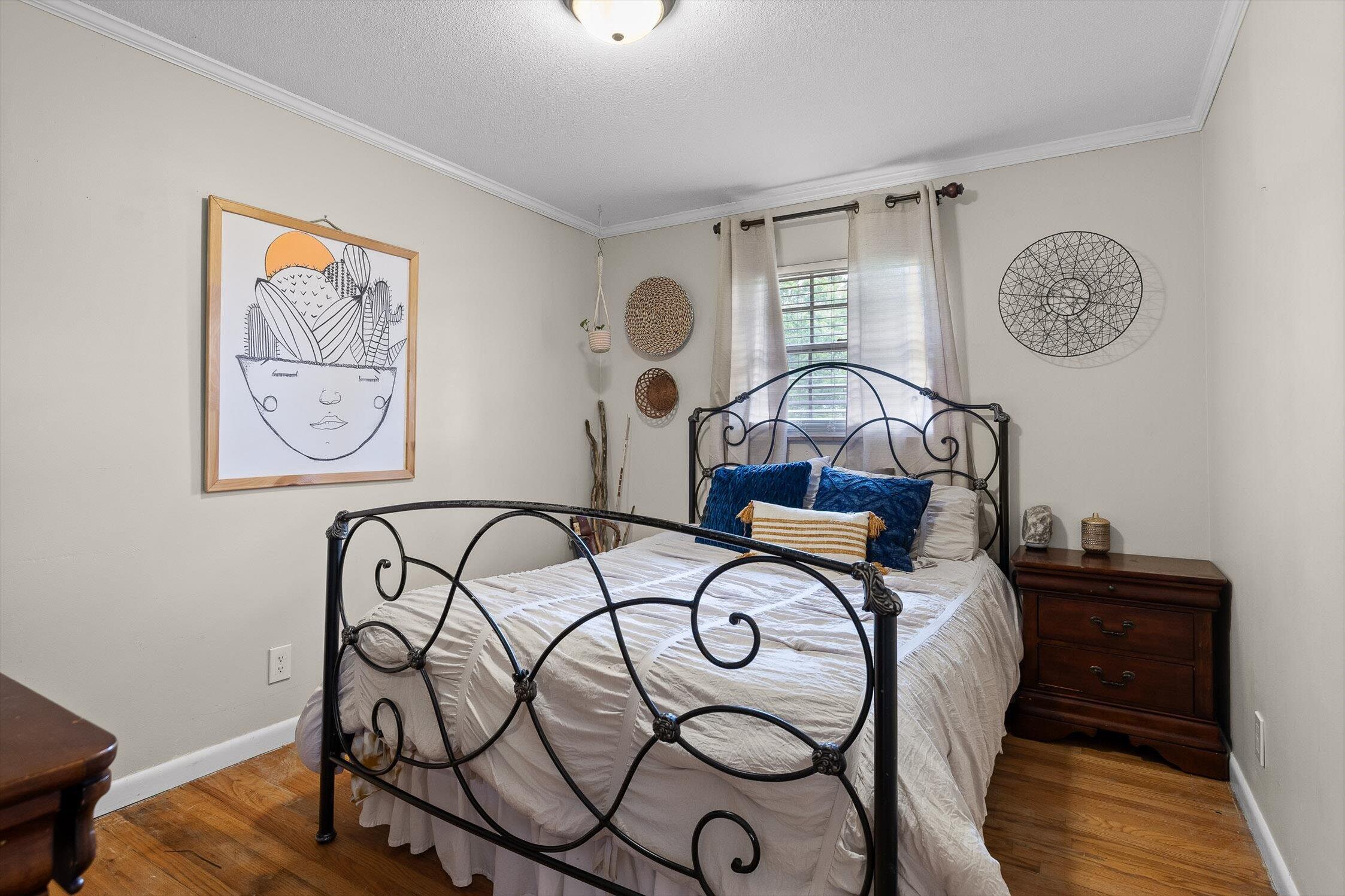 4338 Comet Trail