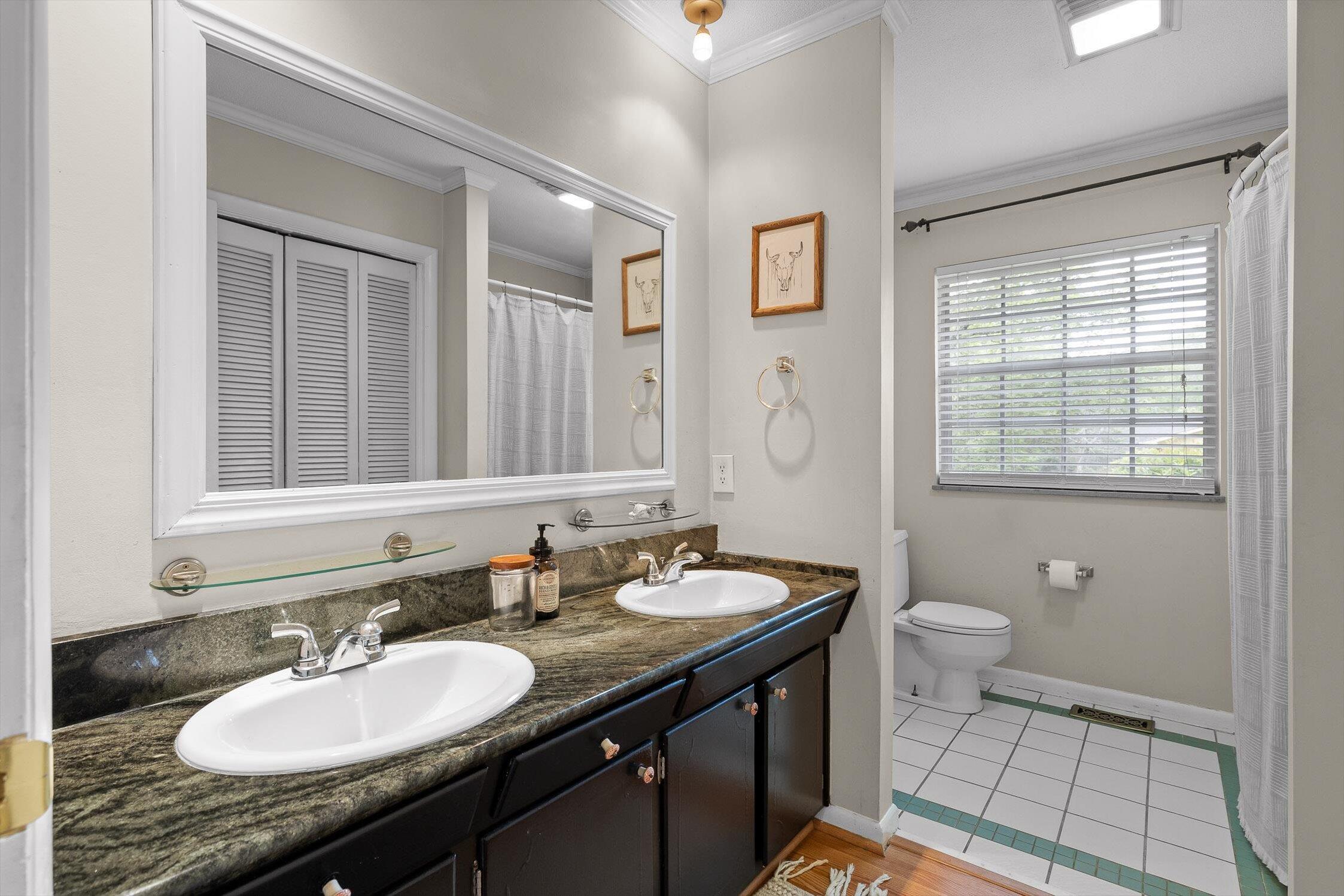 4338 Comet Trail