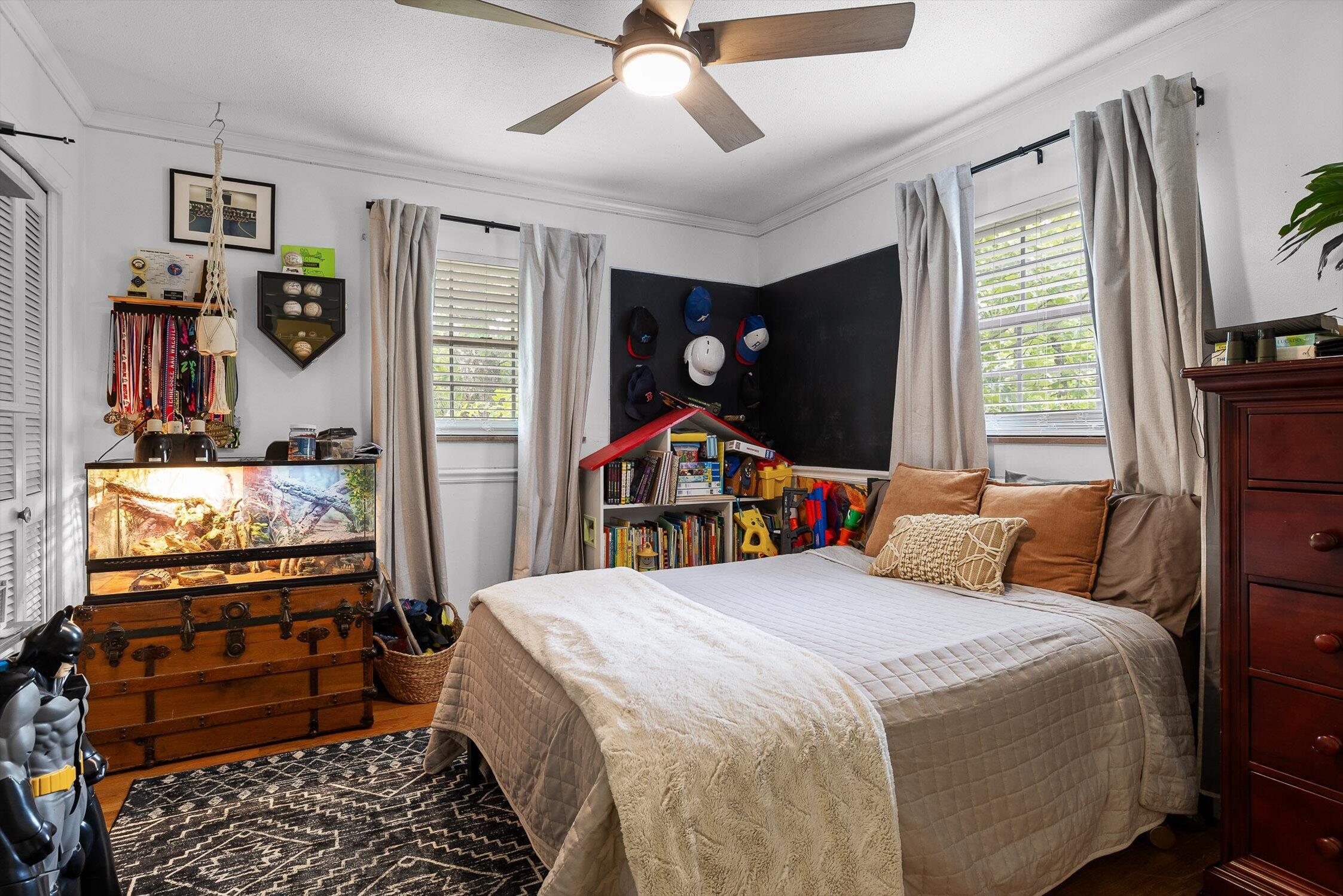 4338 Comet Trail