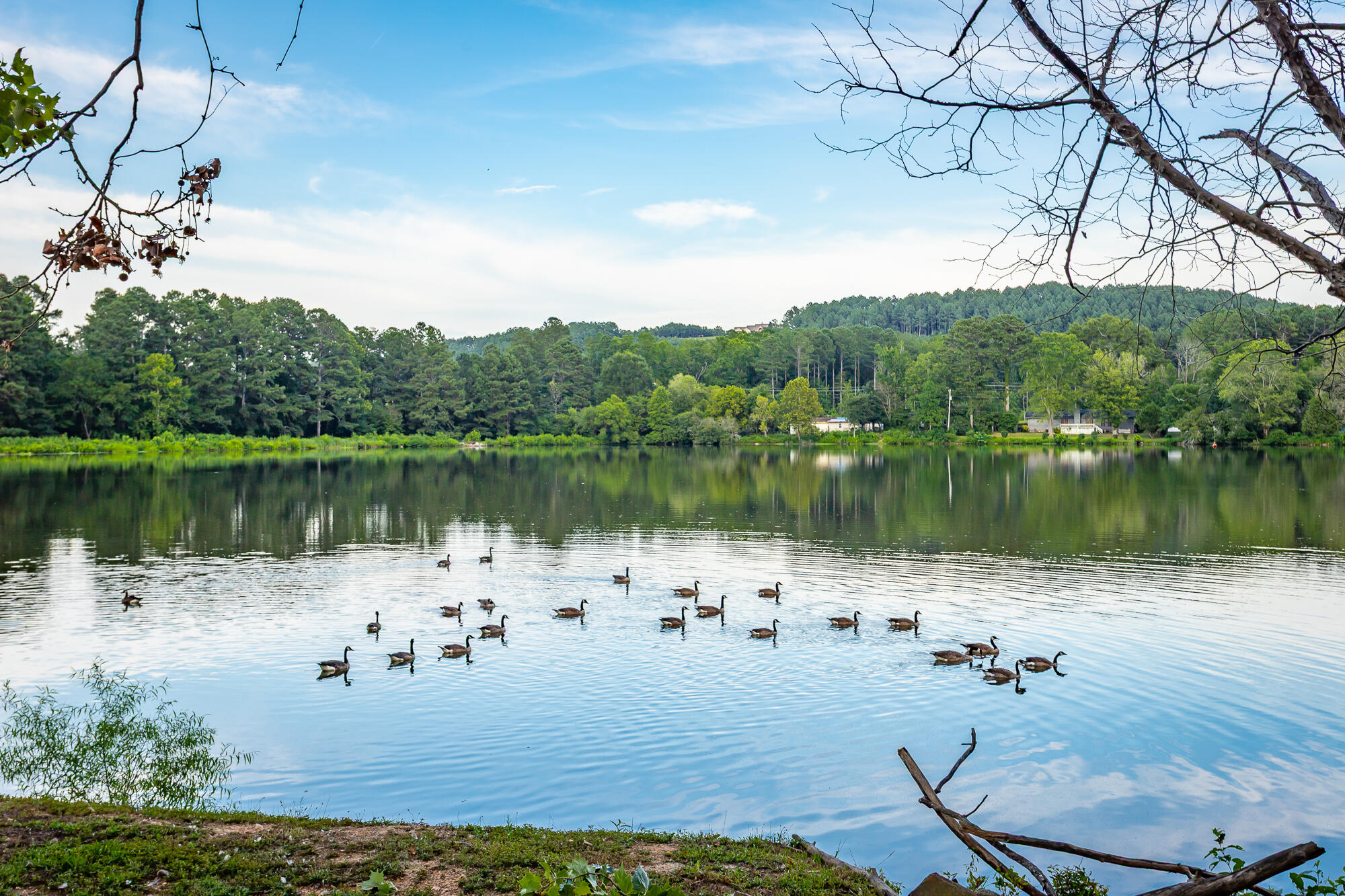 1370 Peggy Lane, A&B