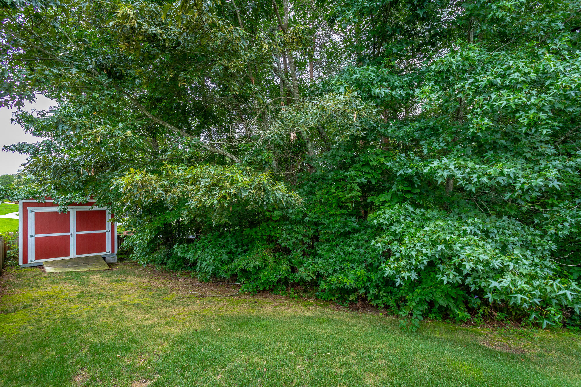 175 Elaine Drive