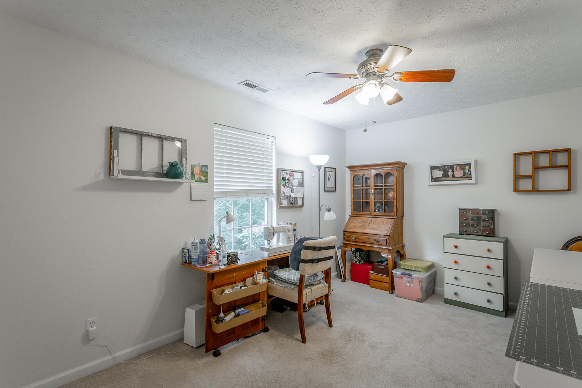 175 Elaine Drive