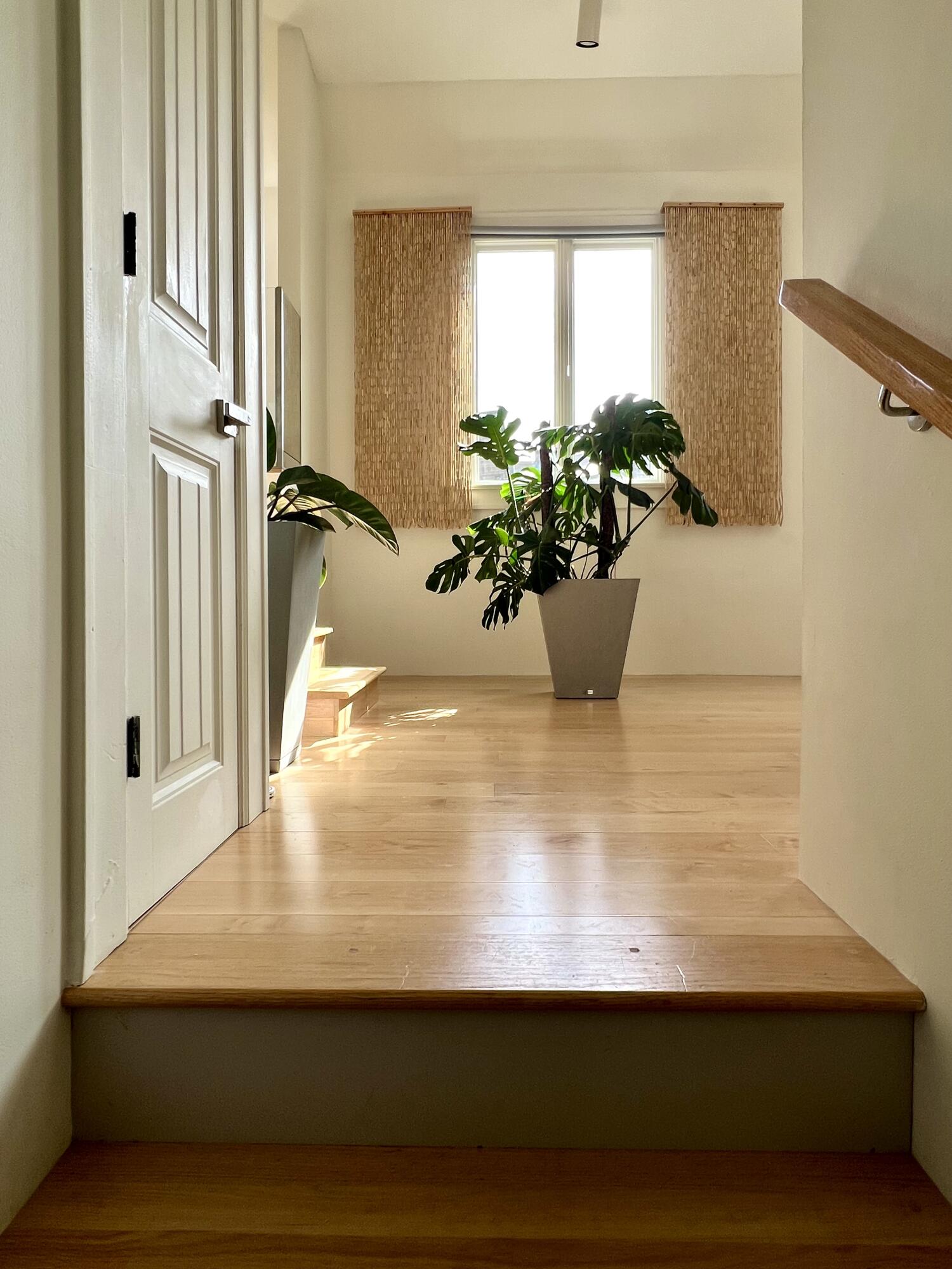 467 Wisley Way