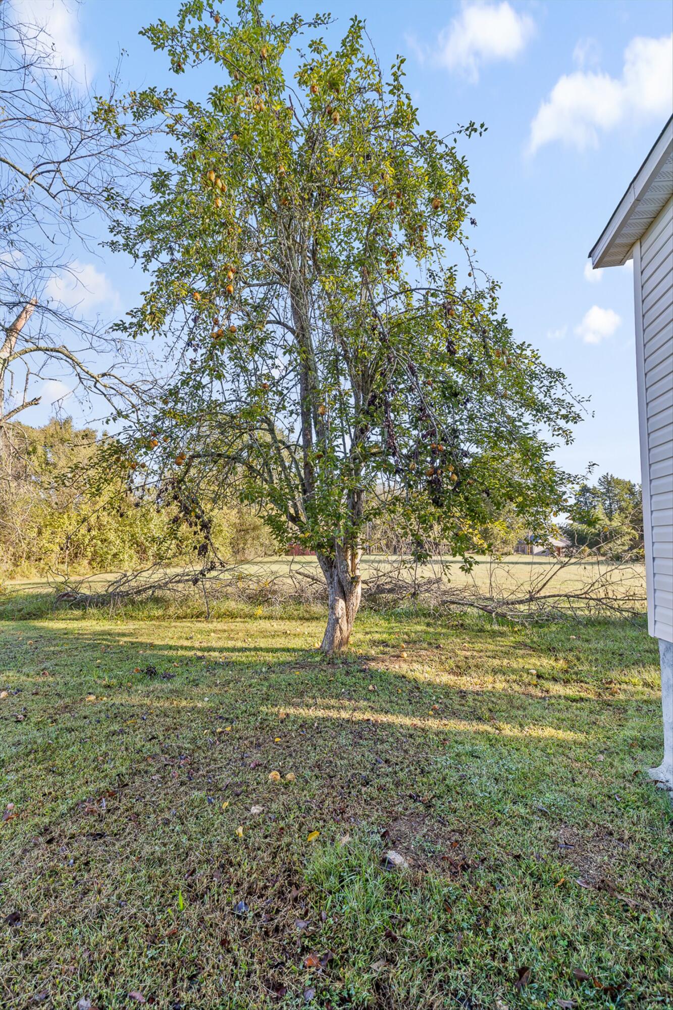1733 Hancock Road