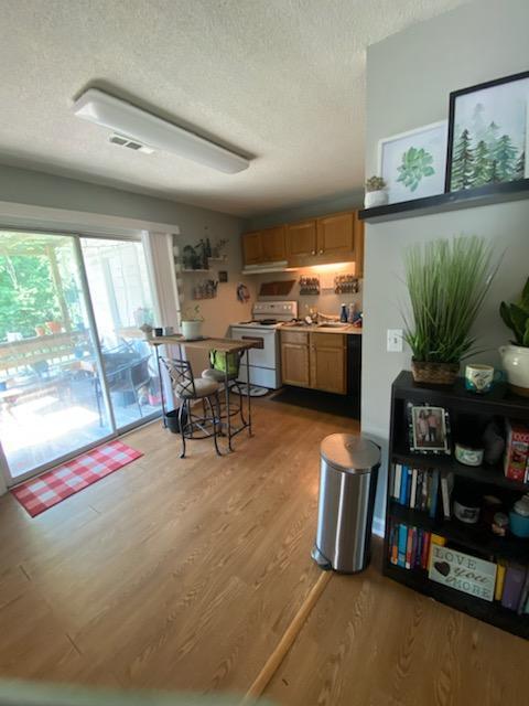 2 & 4 Newman Drive, Rossville