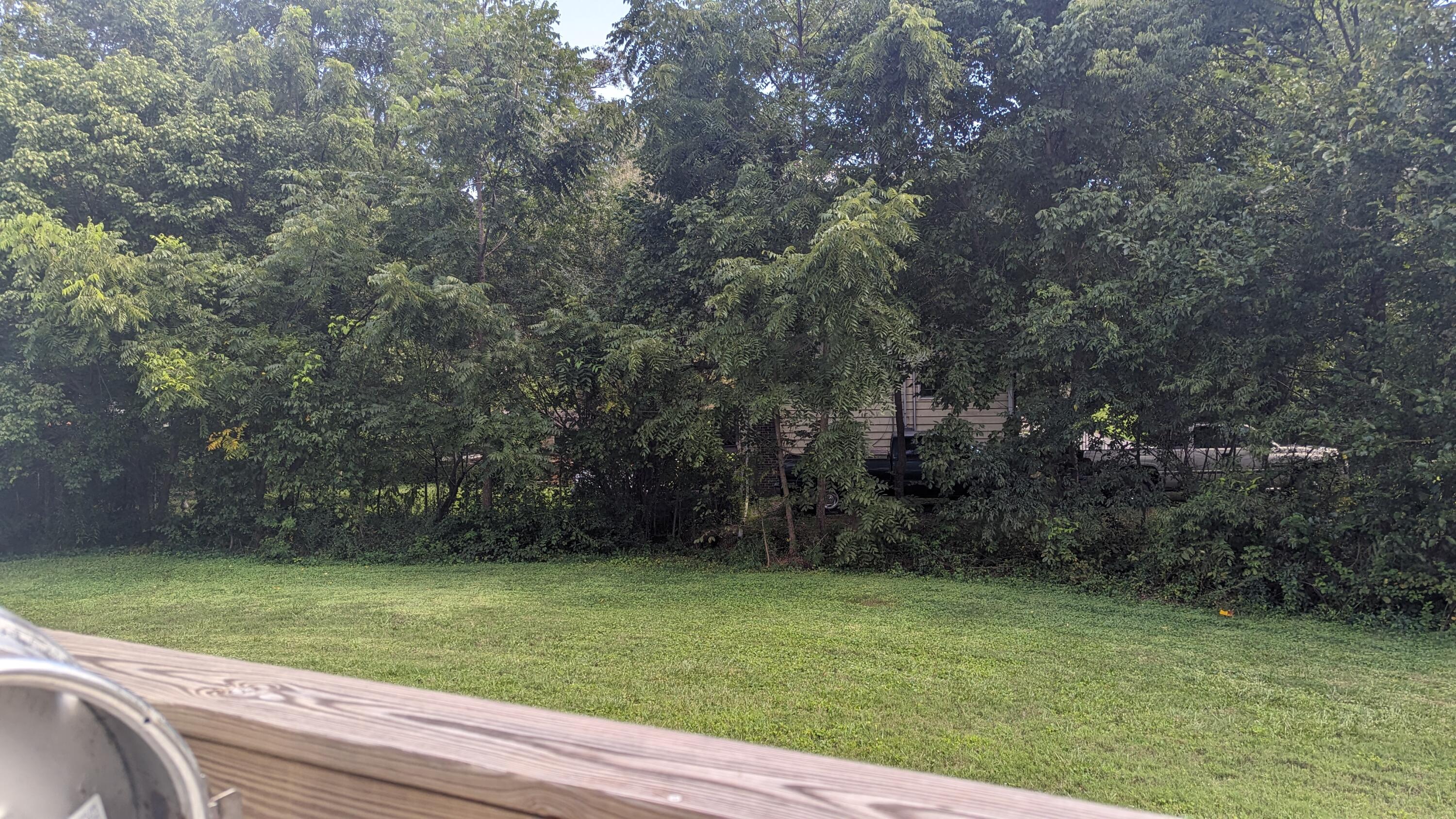 2 & 4 Newman Drive, Rossville