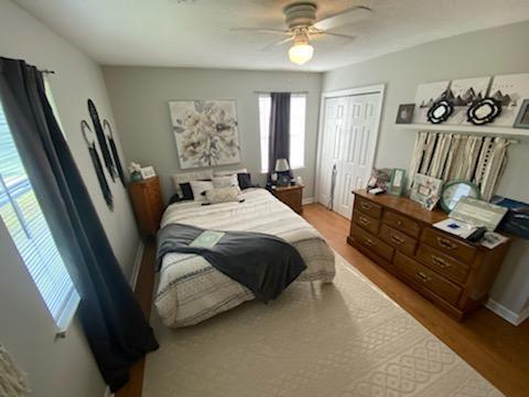 2 & 4 Newman Drive, Rossville